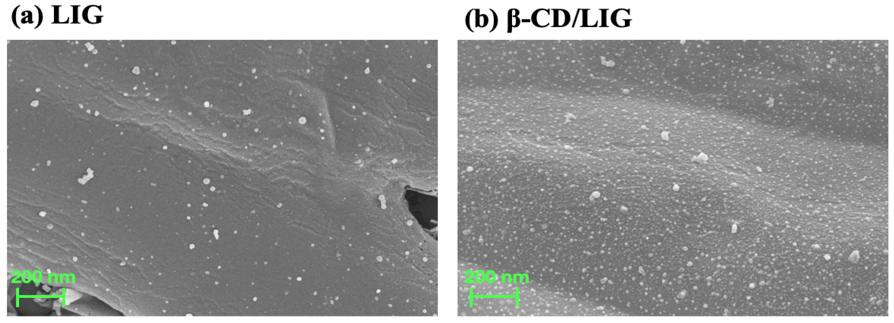 Molecules 29 04718 g001