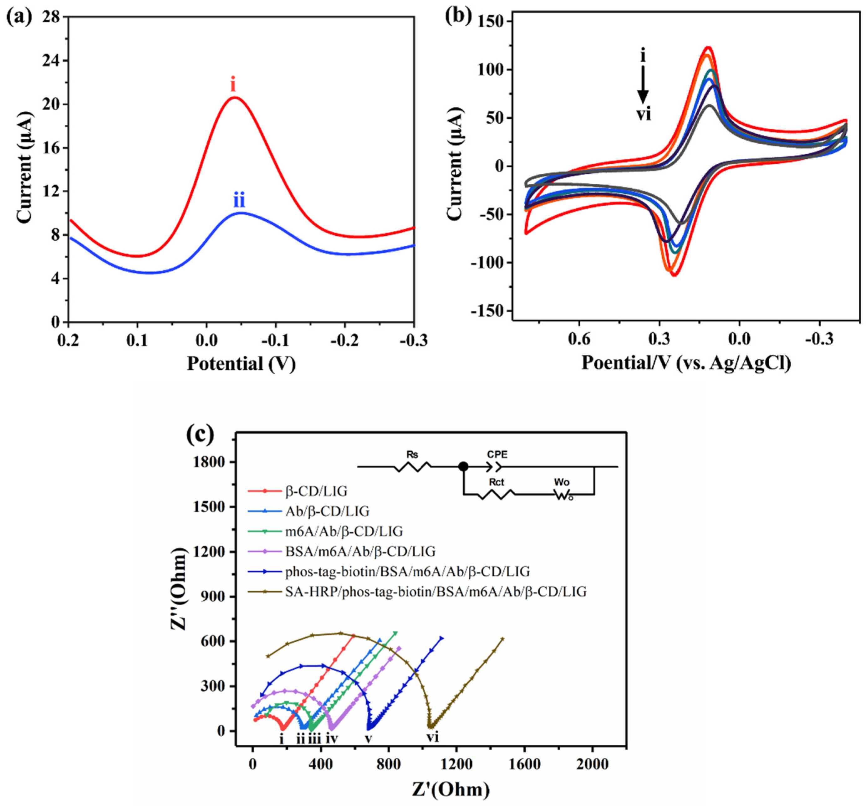 Molecules 29 04718 g003