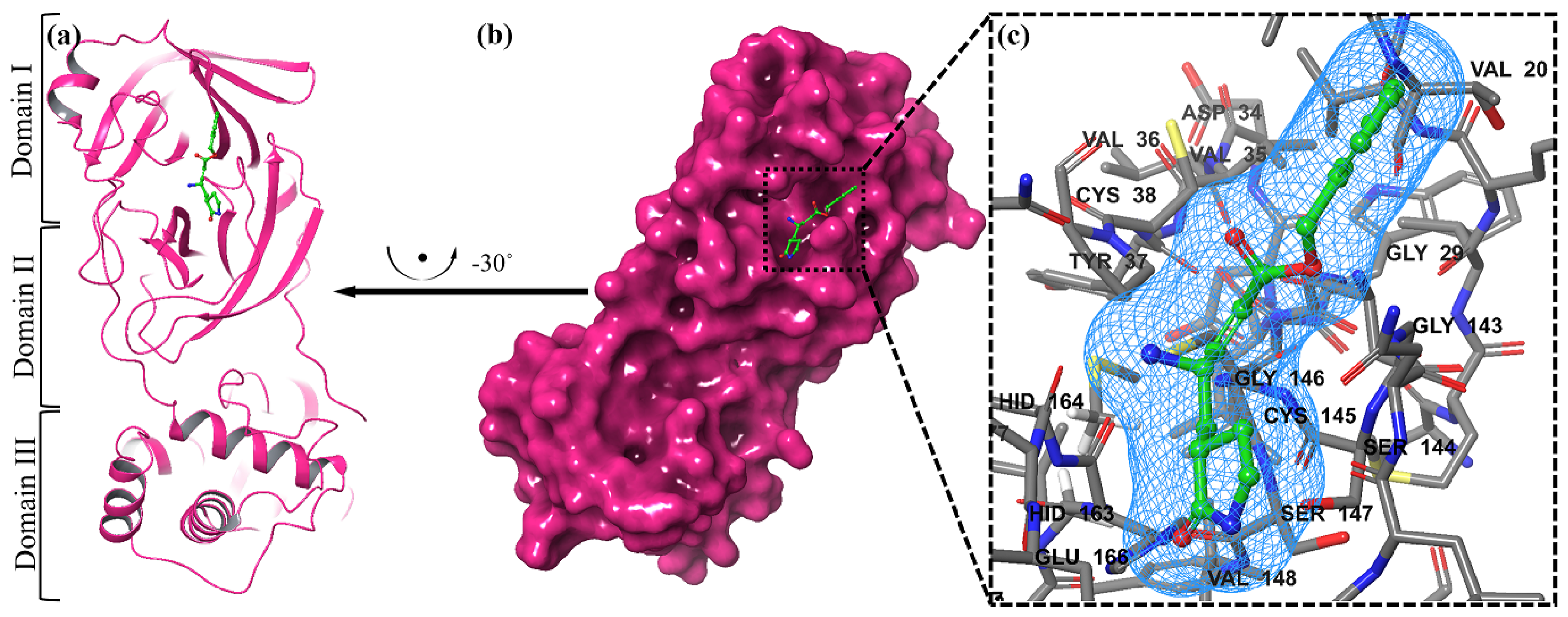 Molecules 29 04721 g005