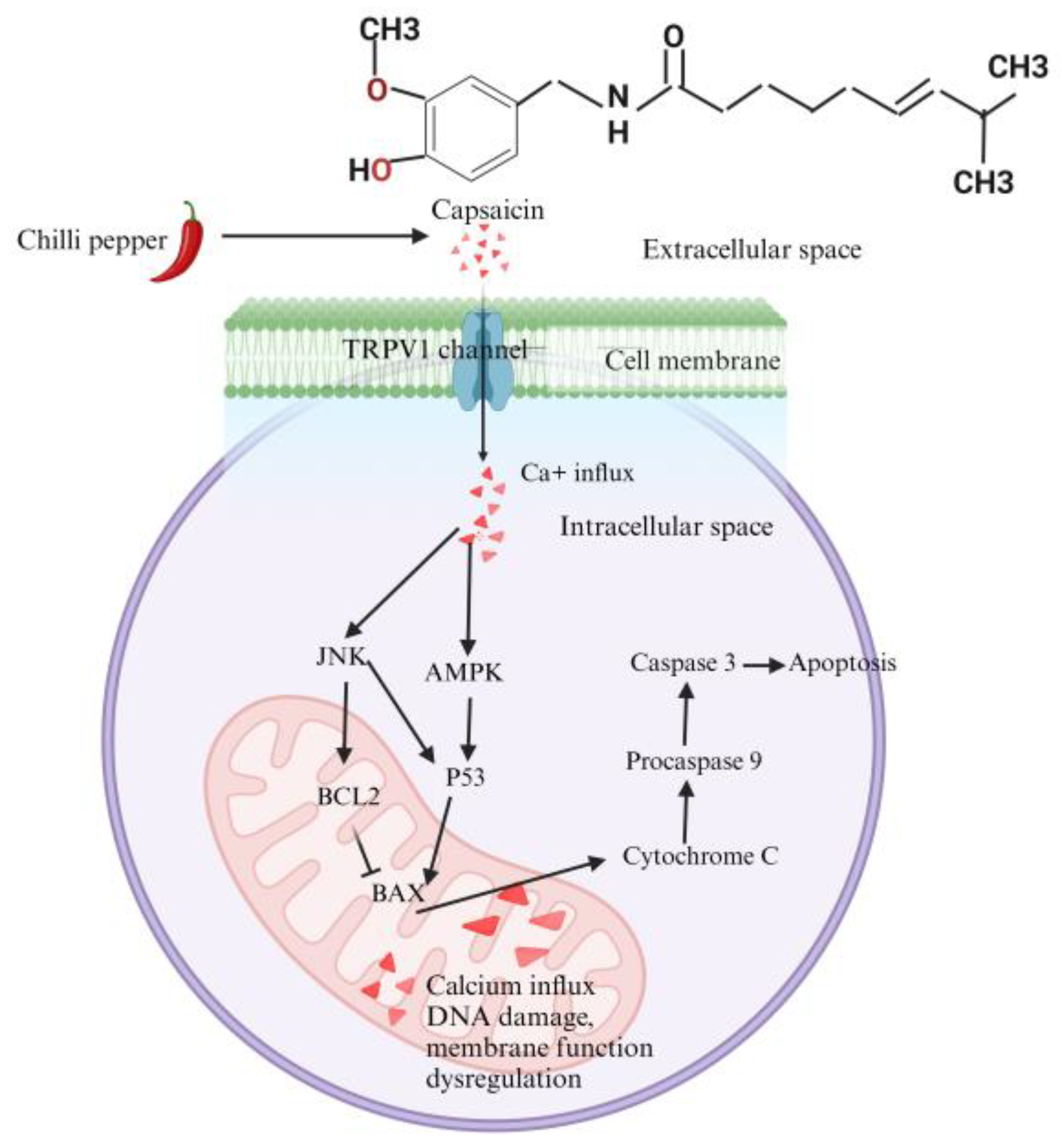 Molecules 29 04729 g002