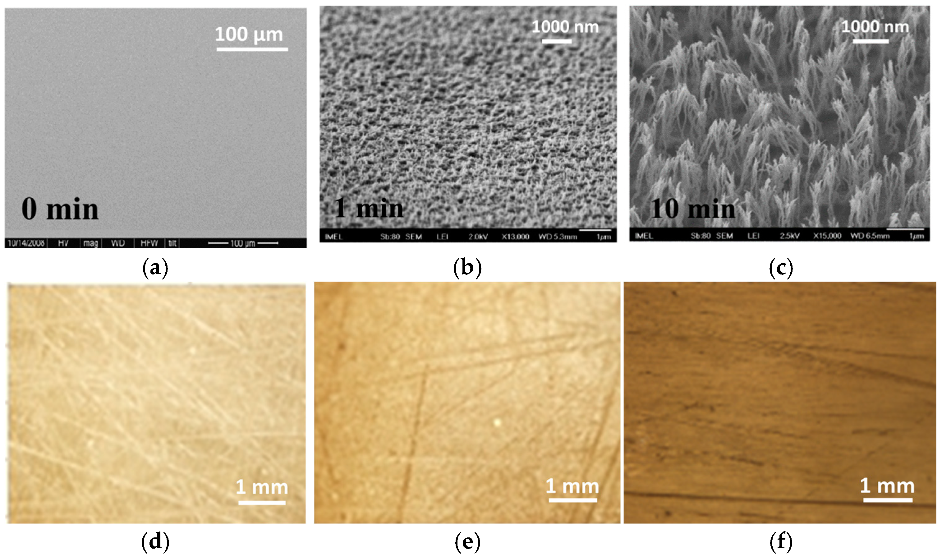 Molecules 29 04736 g002