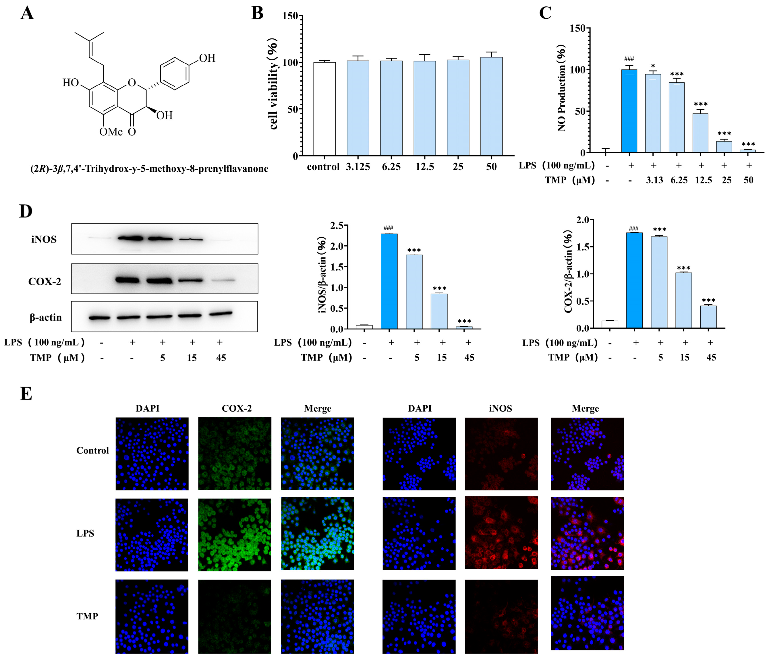 Molecules 29 04741 g001 Molecules 29 04741 g001