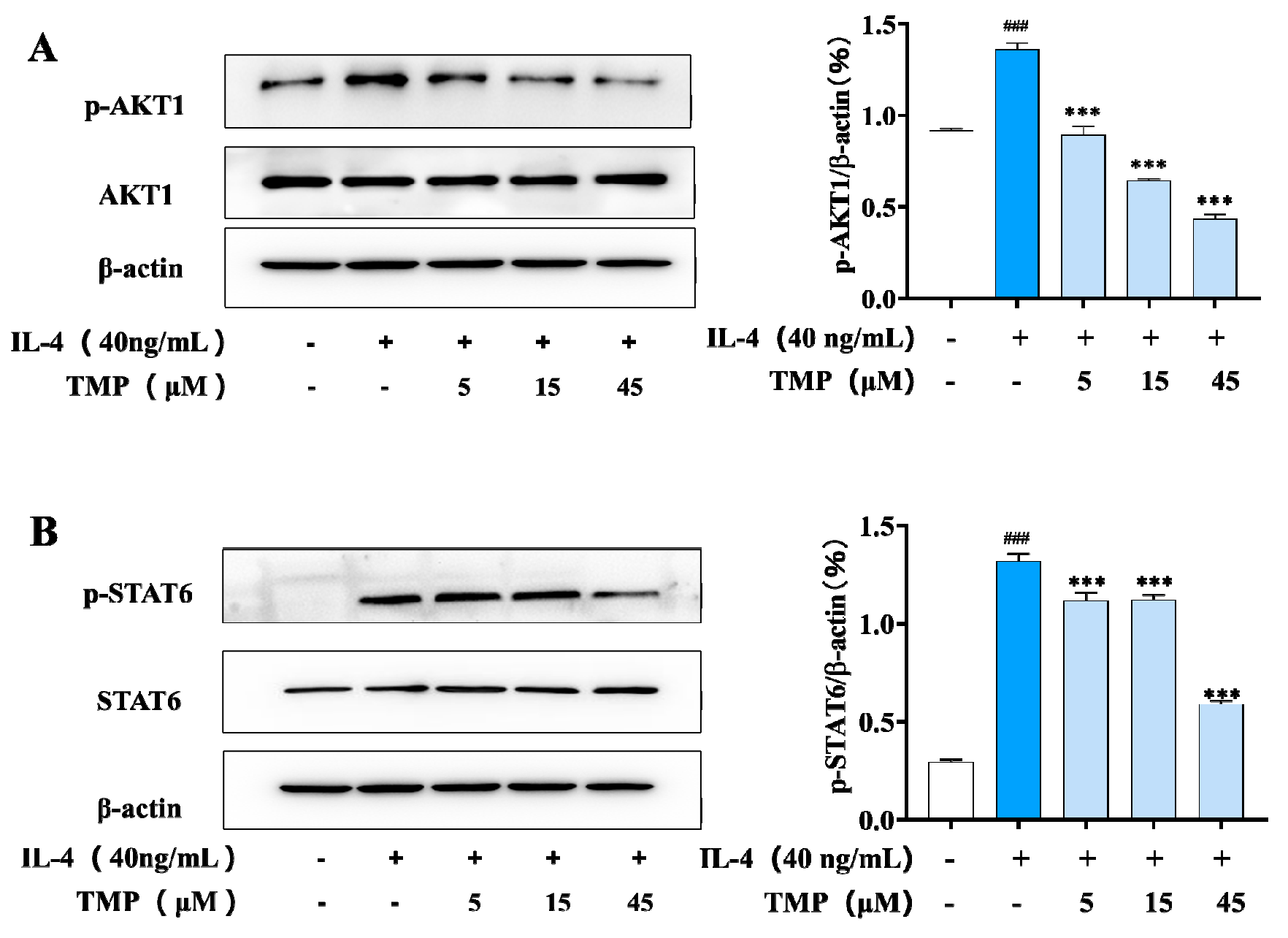 Molecules 29 04741 g005 Molecules 29 04741 g005