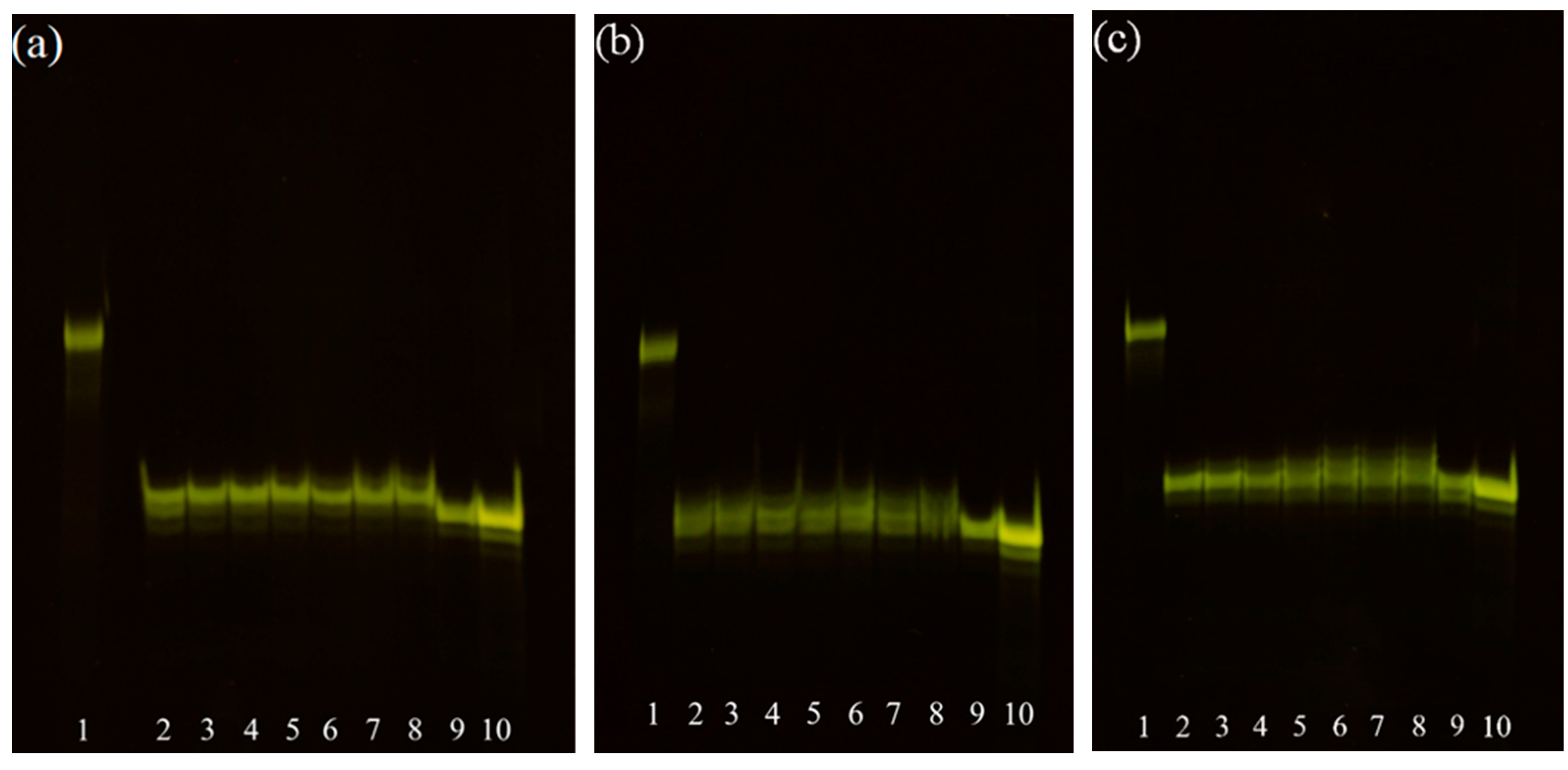 Molecules 29 04747 g002 Molecules 29 04747 g002