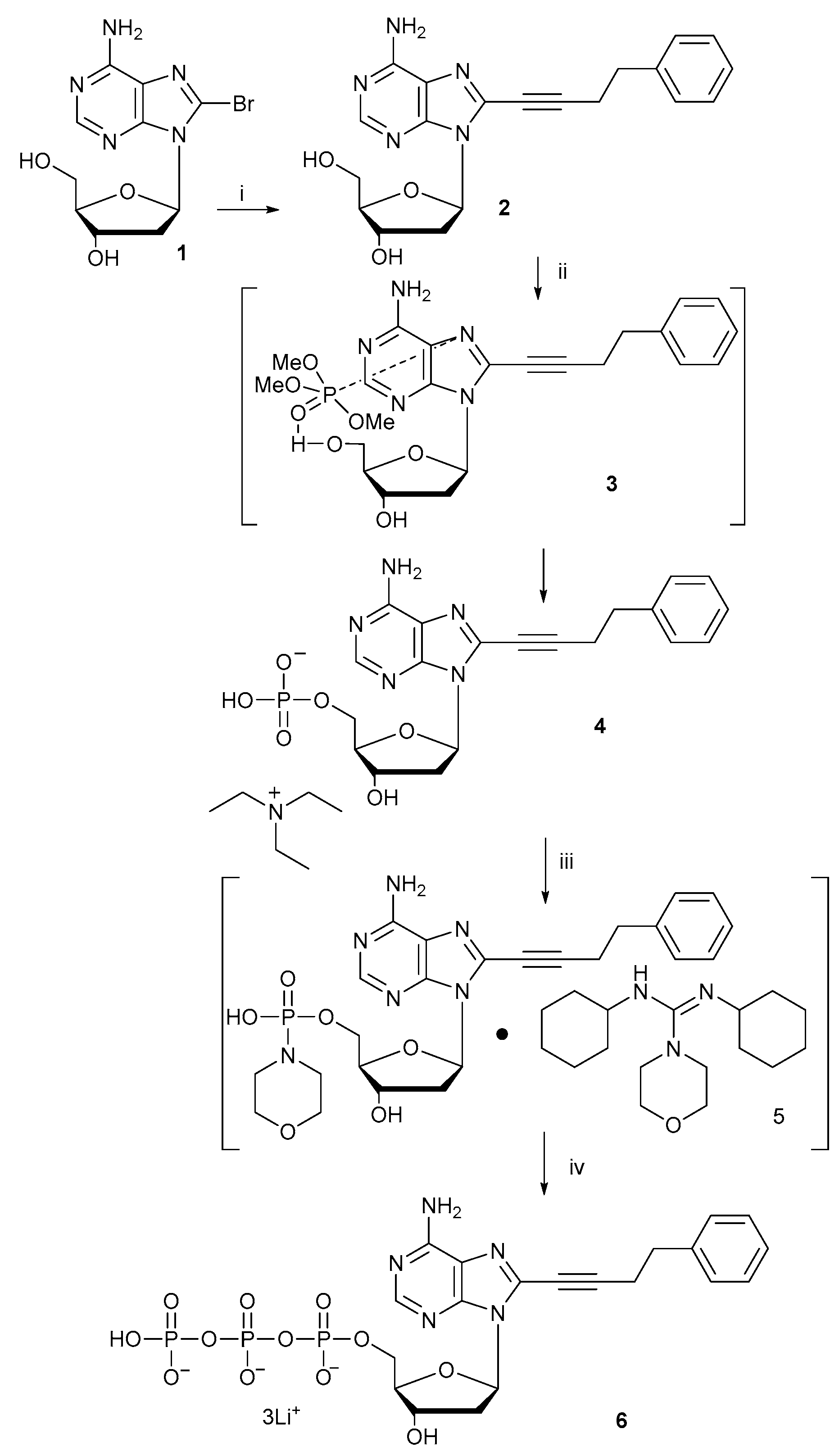 Molecules 29 04747 sch001 Molecules 29 04747 sch001