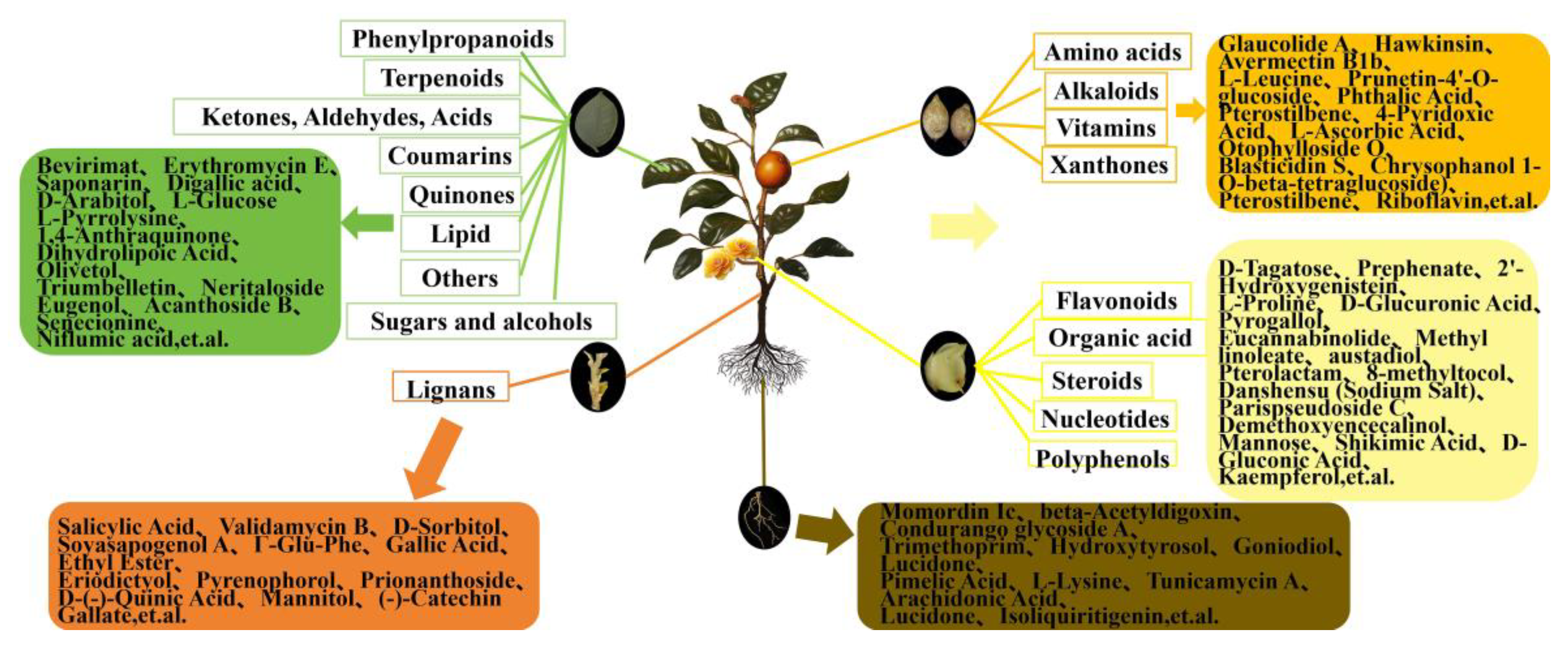 Molecules 29 04754 g004