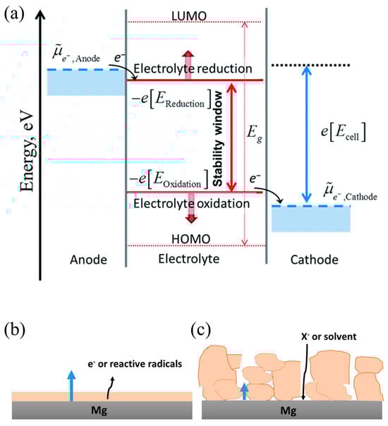 Molecules 29 04761 g002