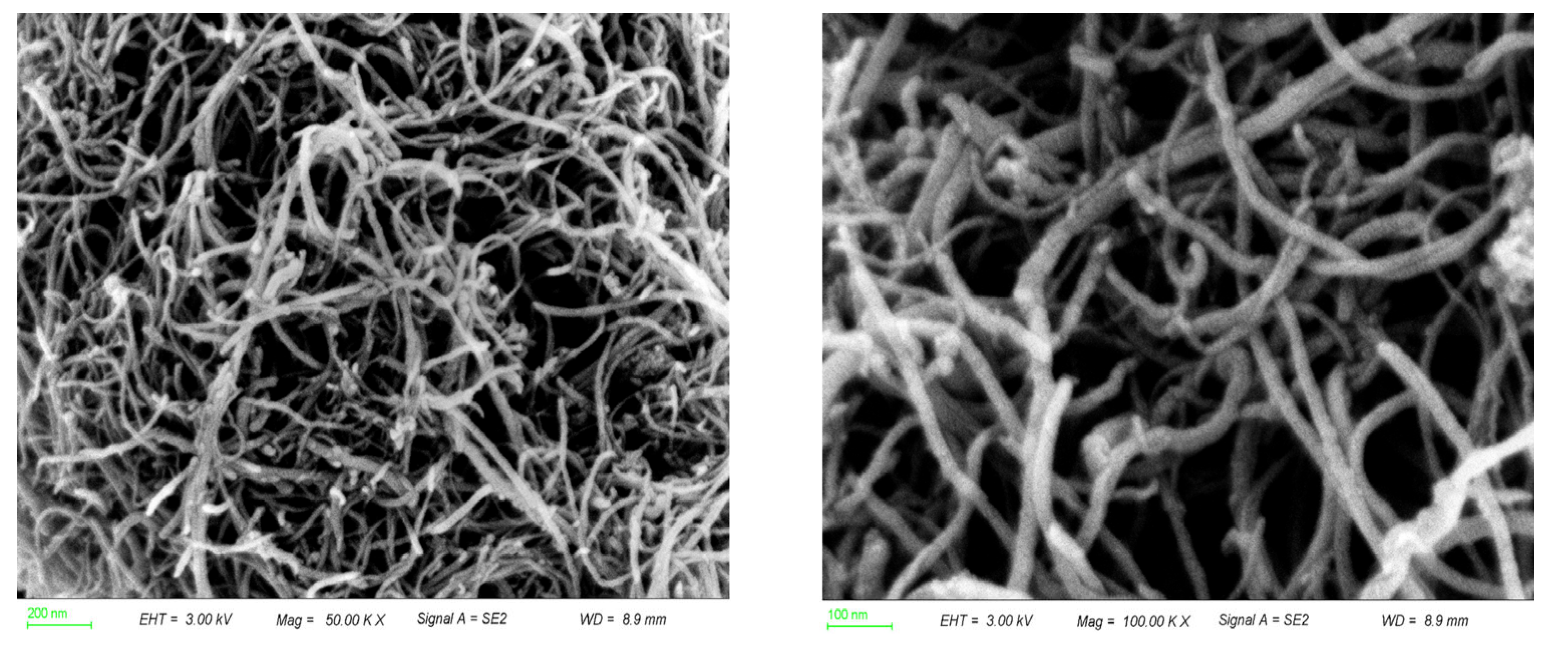 Molecules 29 04762 g007