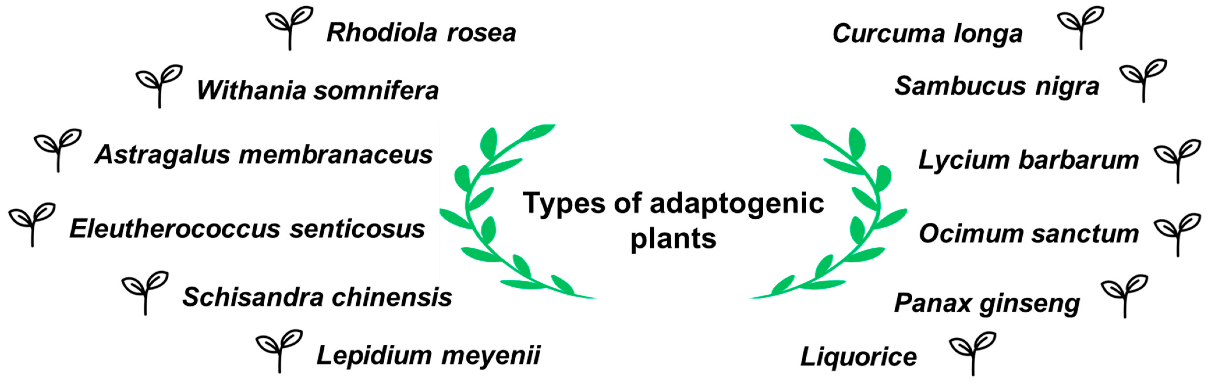 Molecules 29 04767 g004