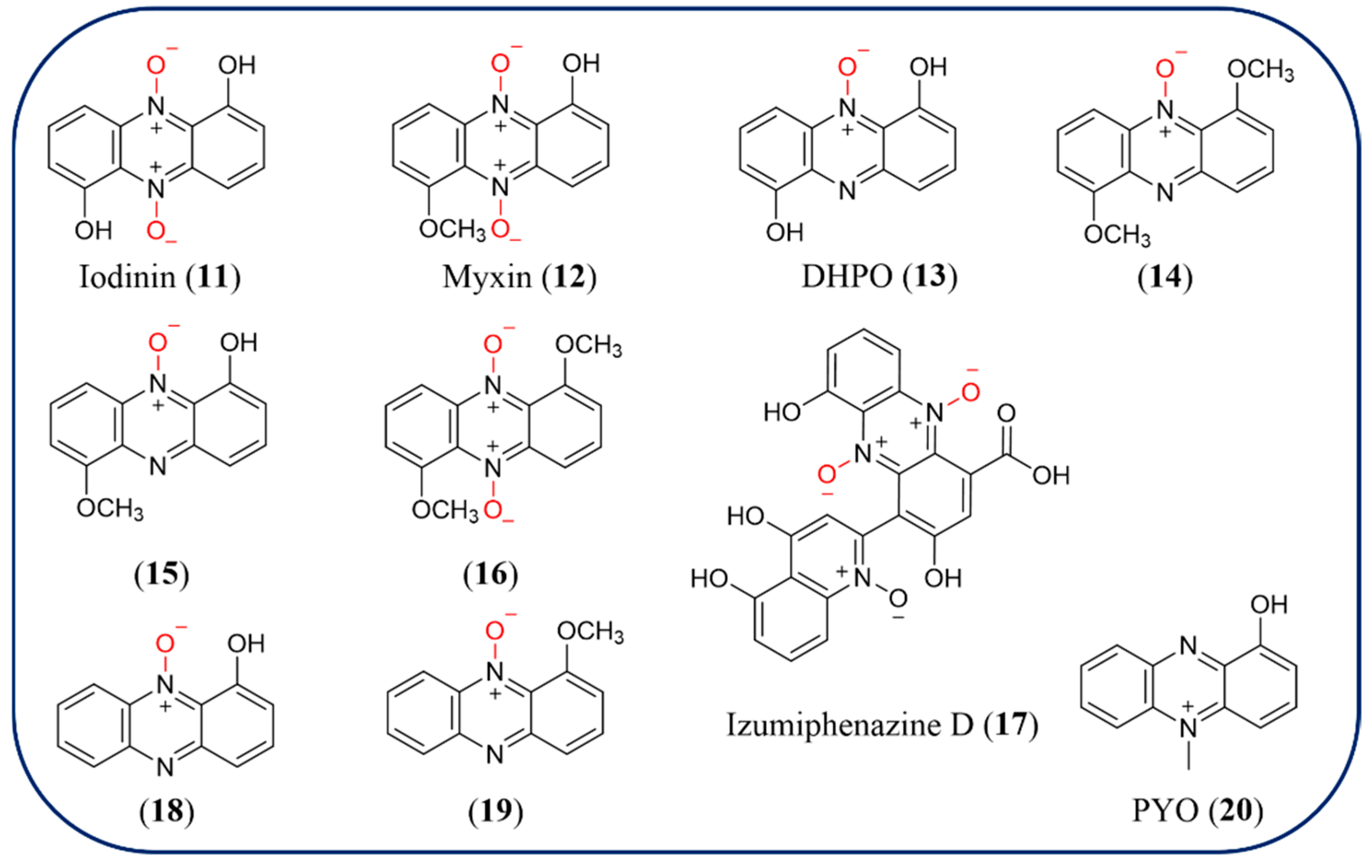 Molecules 29 04771 g003