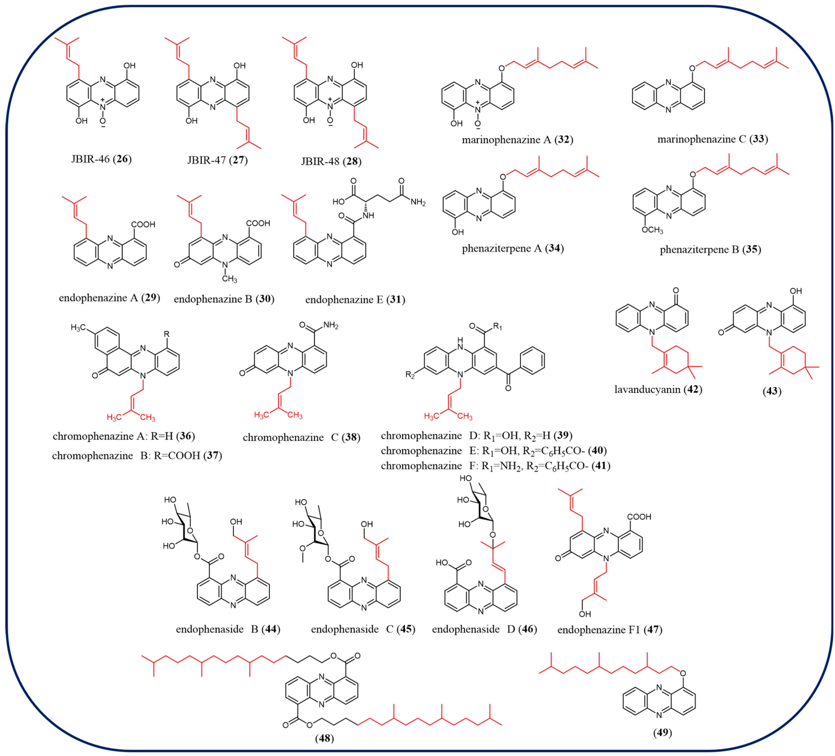 Molecules 29 04771 g005