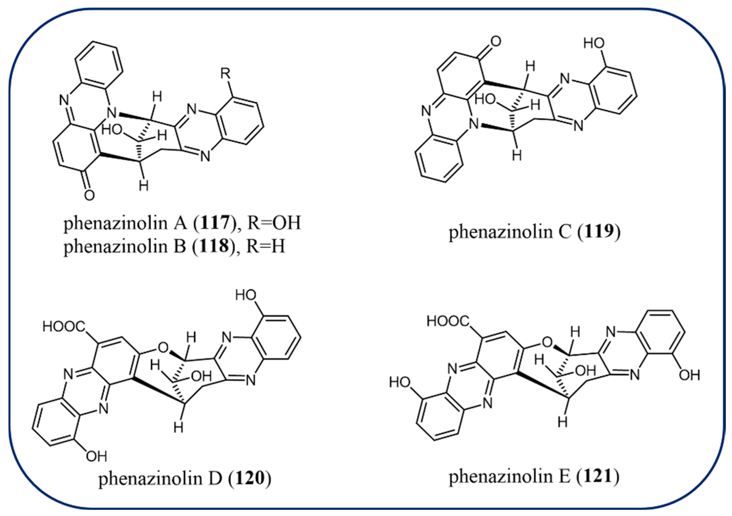 Molecules 29 04771 g012