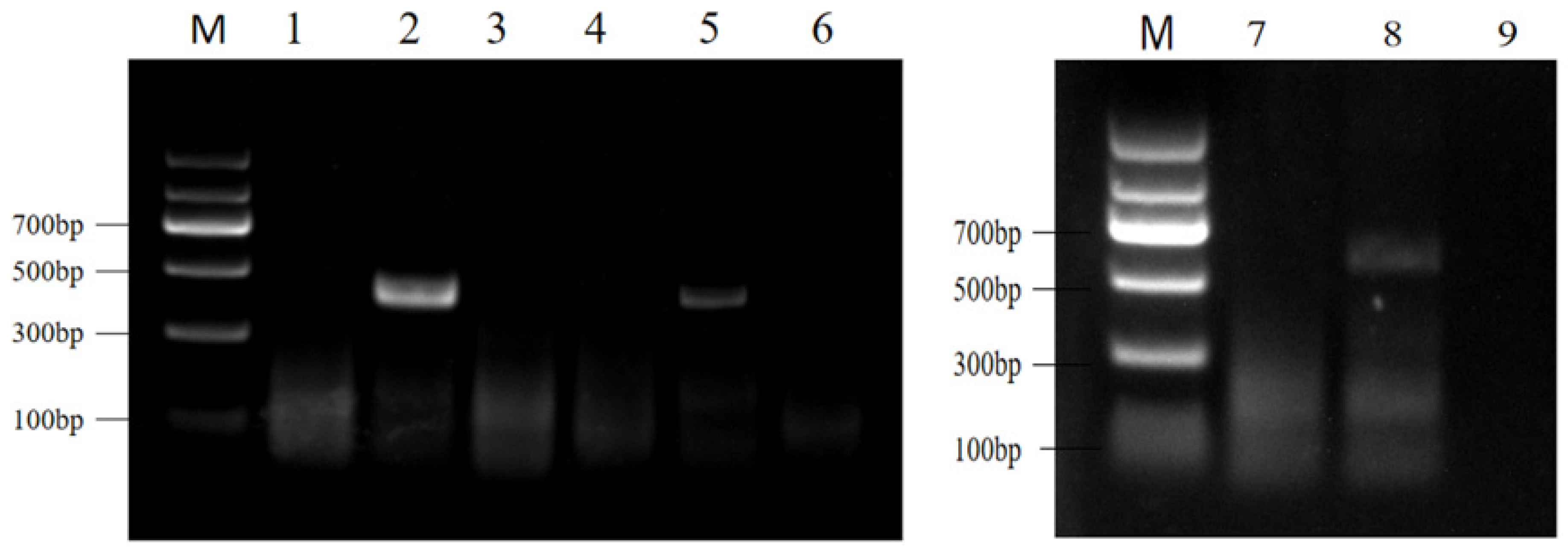 Molecules 29 04789 g001