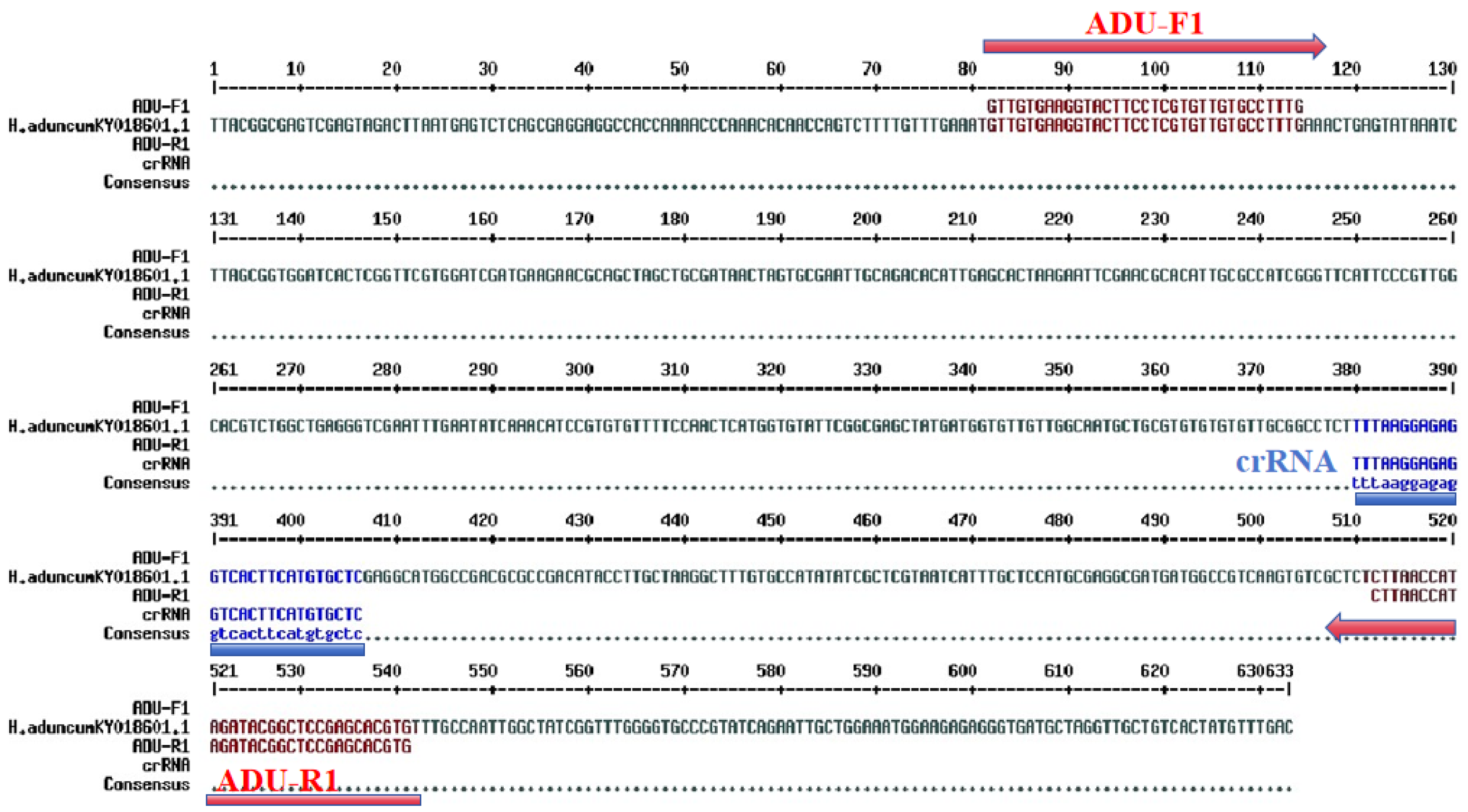 Molecules 29 04789 g002