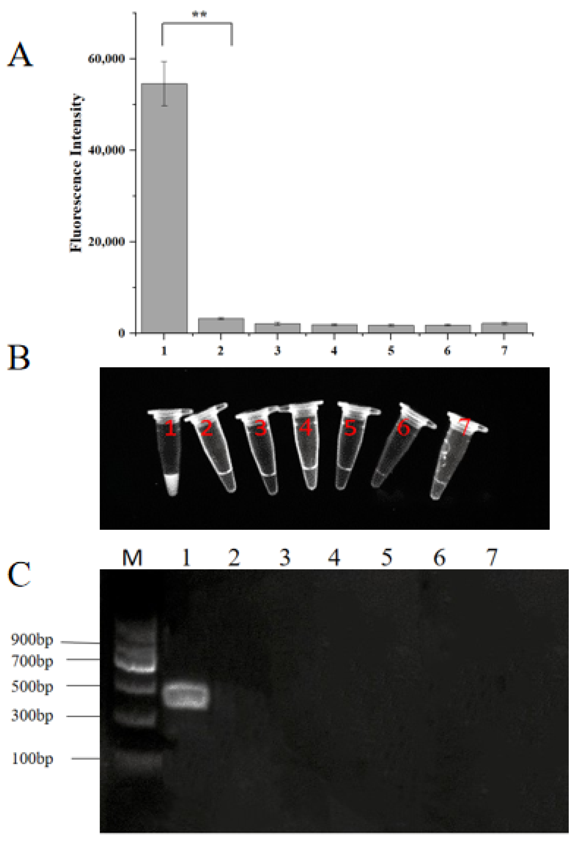 Molecules 29 04789 g003