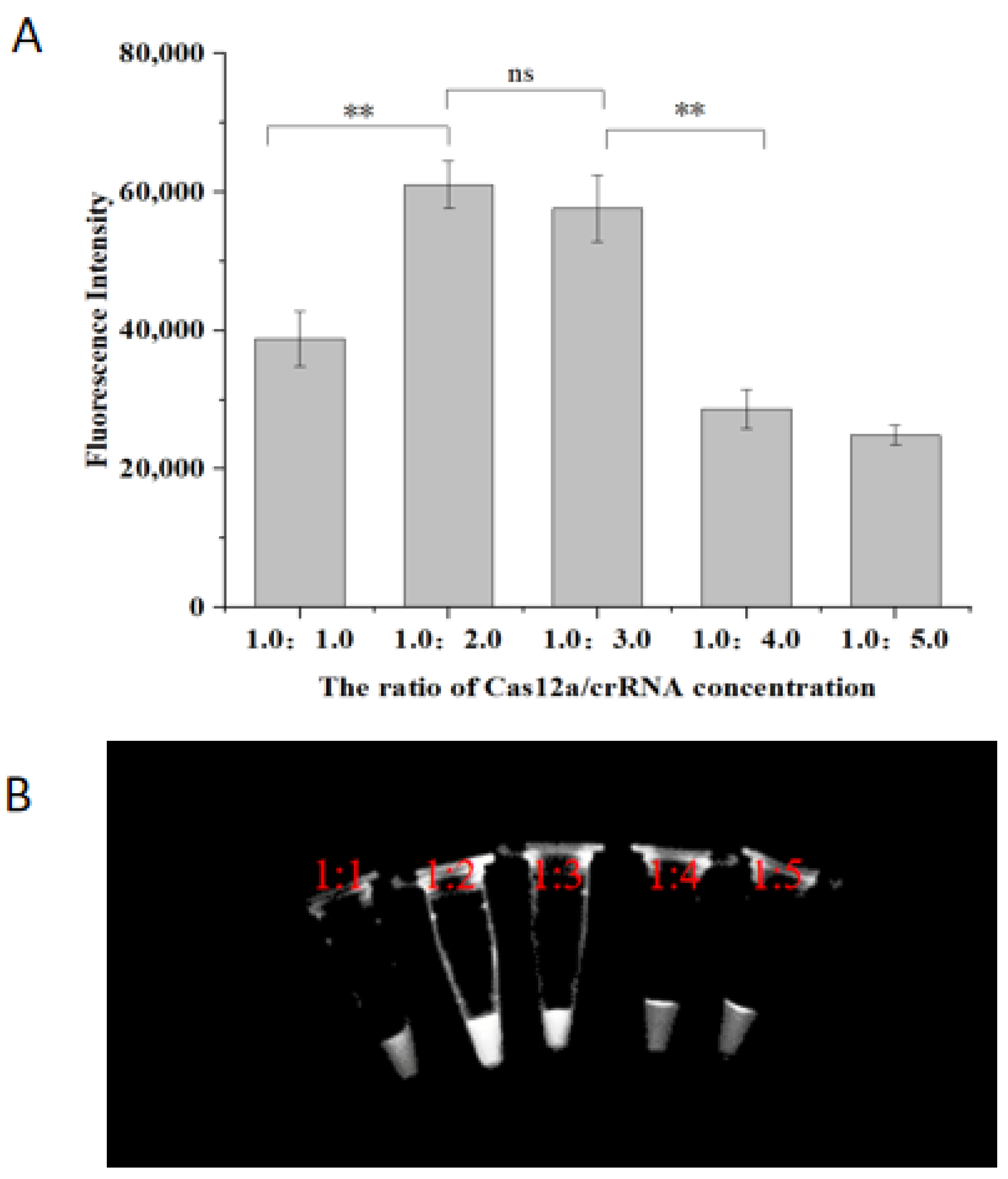 Molecules 29 04789 g004