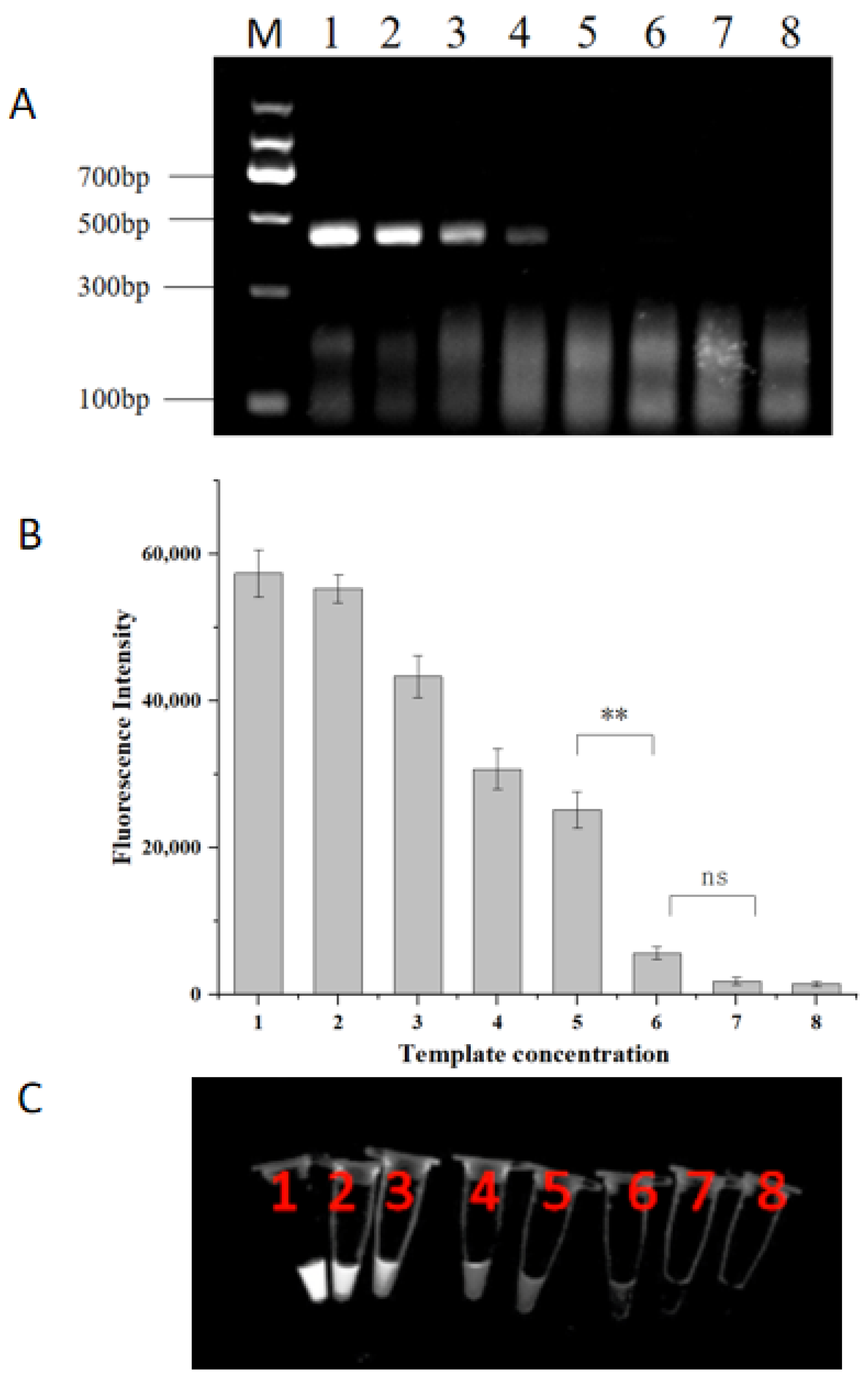 Molecules 29 04789 g006