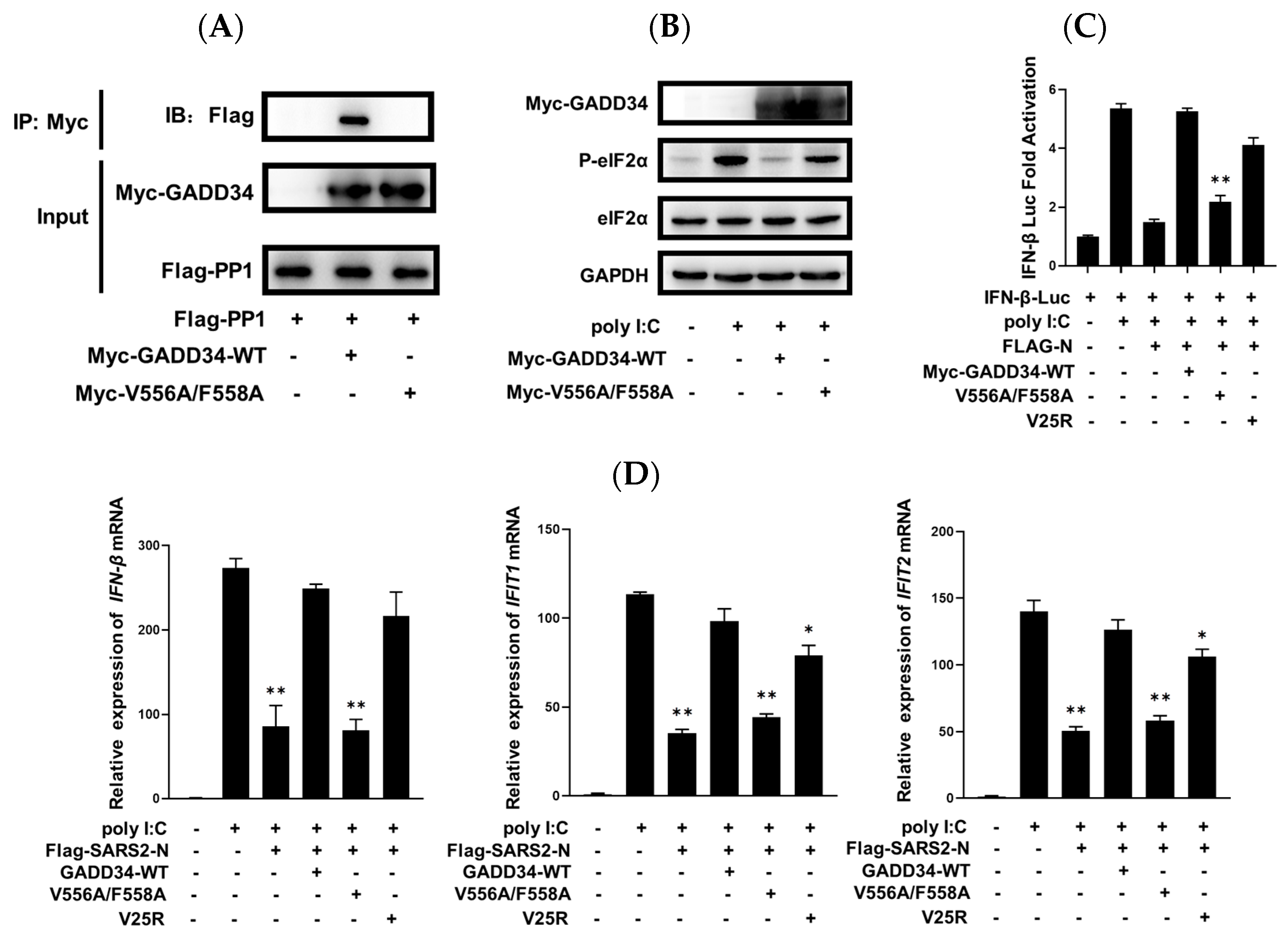 Molecules 29 04792 g005a