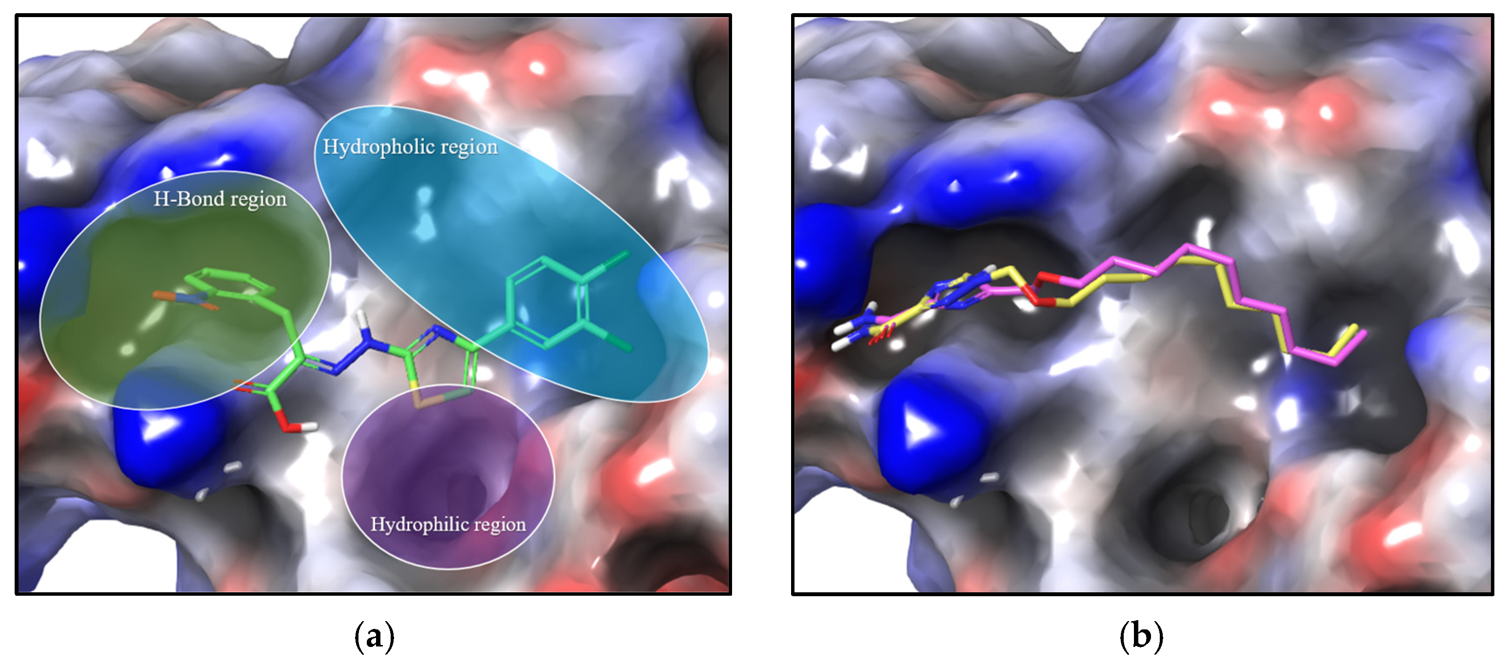Molecules 29 04808 g008
