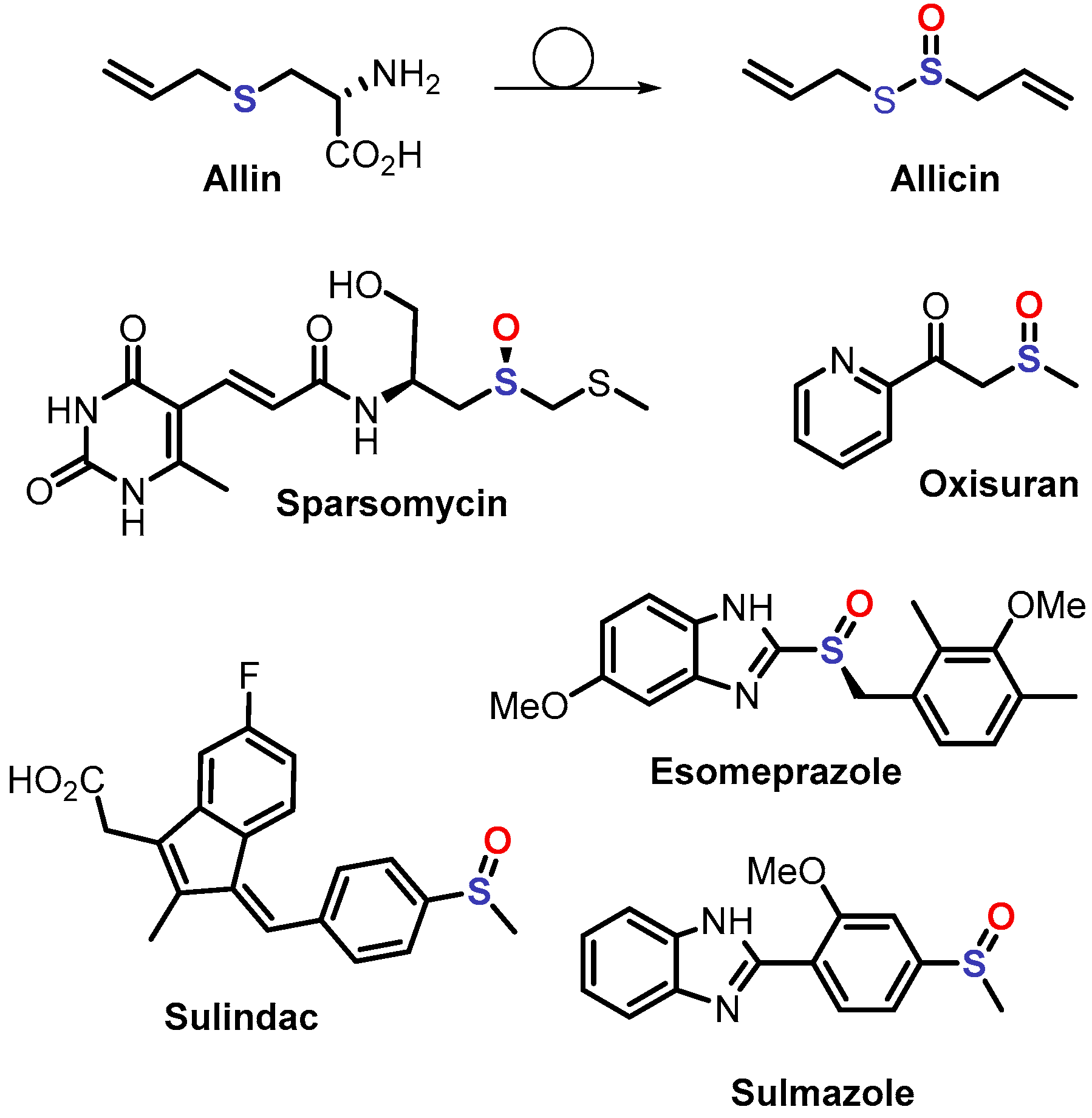 Molecules 29 04809 g001 Molecules 29 04809 g001