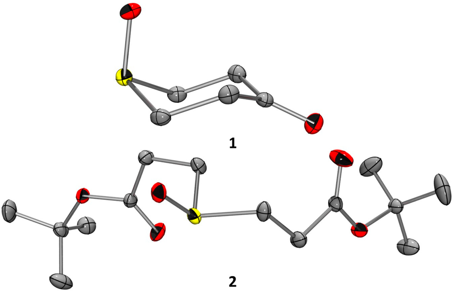 Molecules 29 04809 g004 Molecules 29 04809 g004