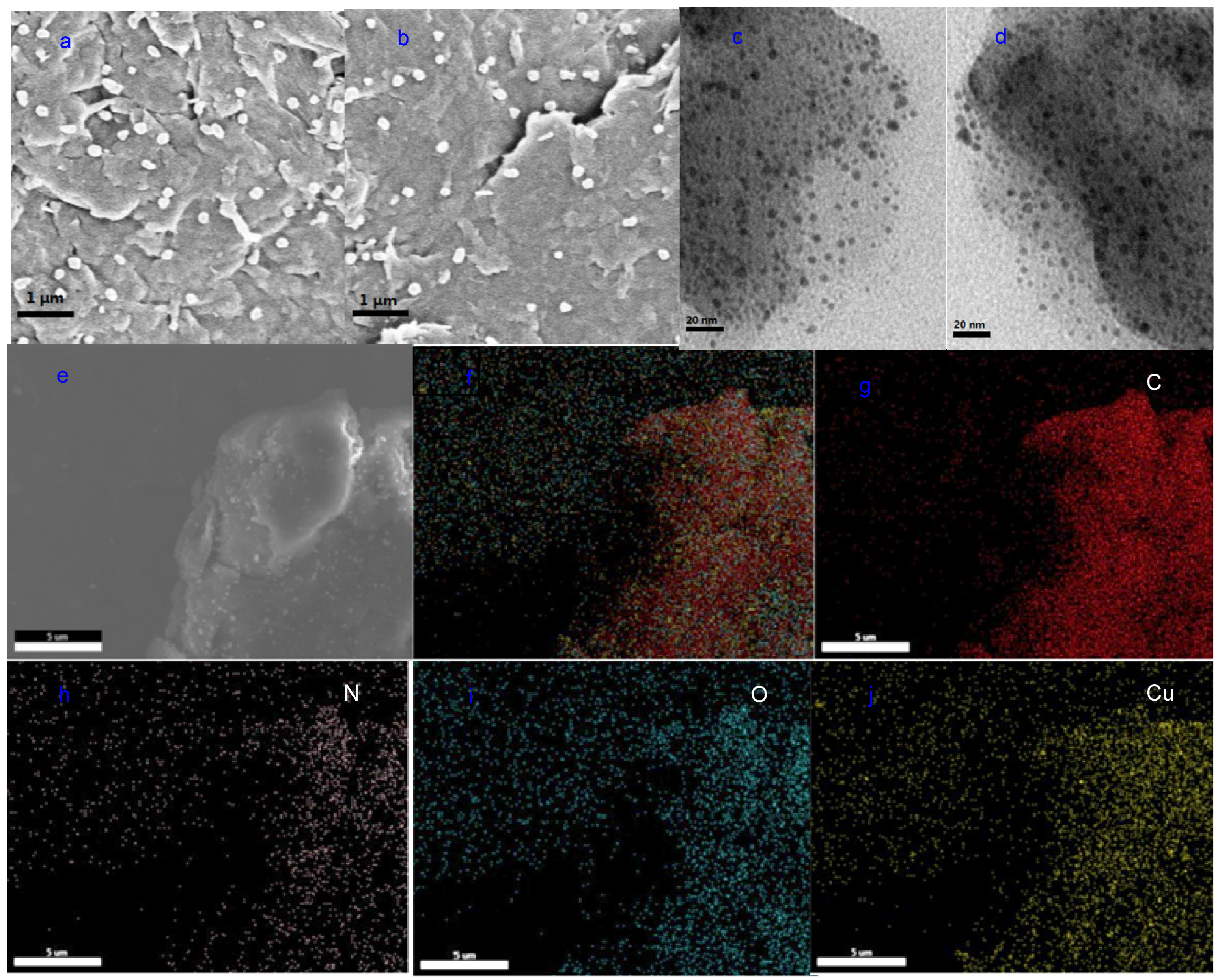 Molecules 29 04815 g002