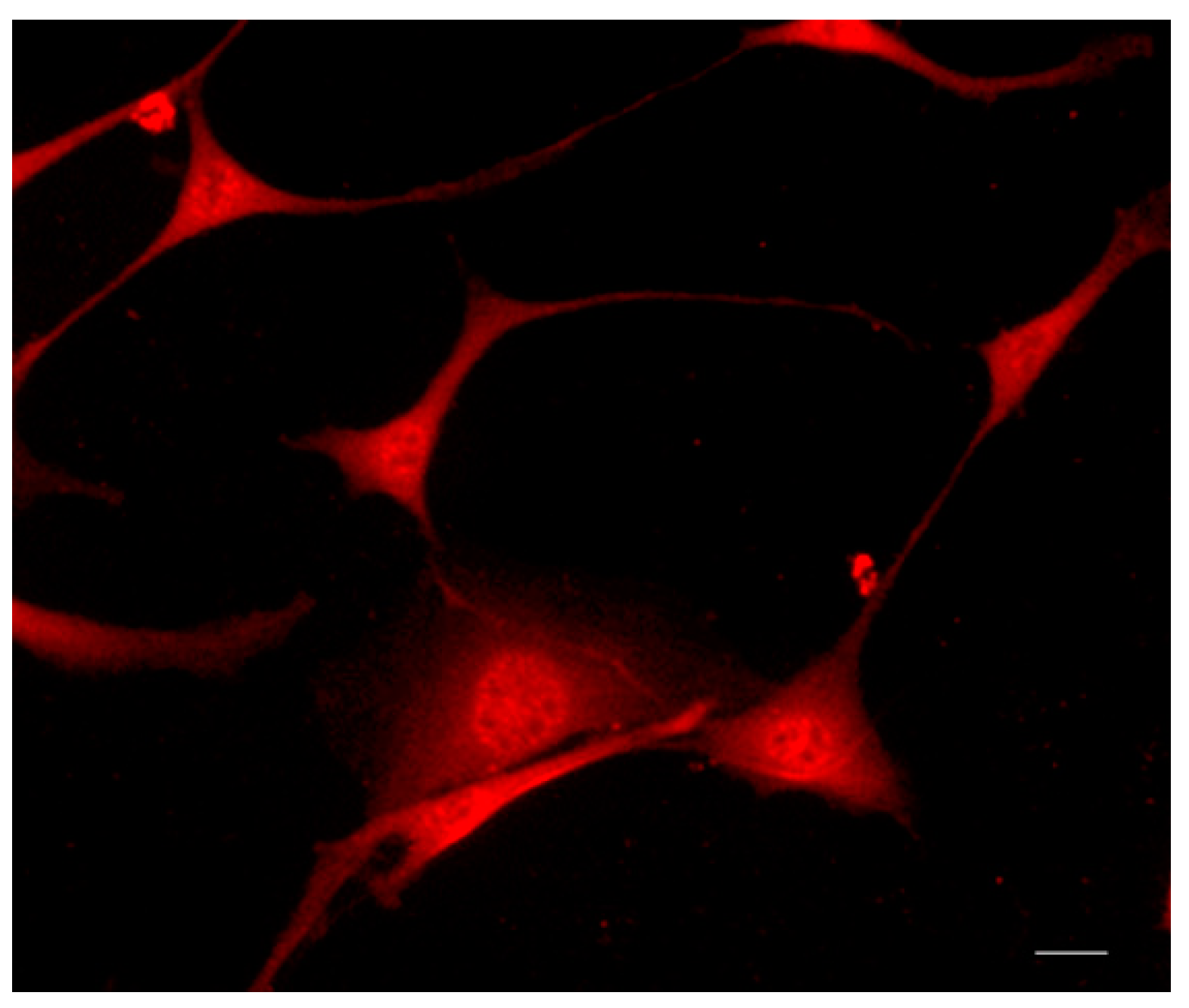 Molecules 29 04821 g001