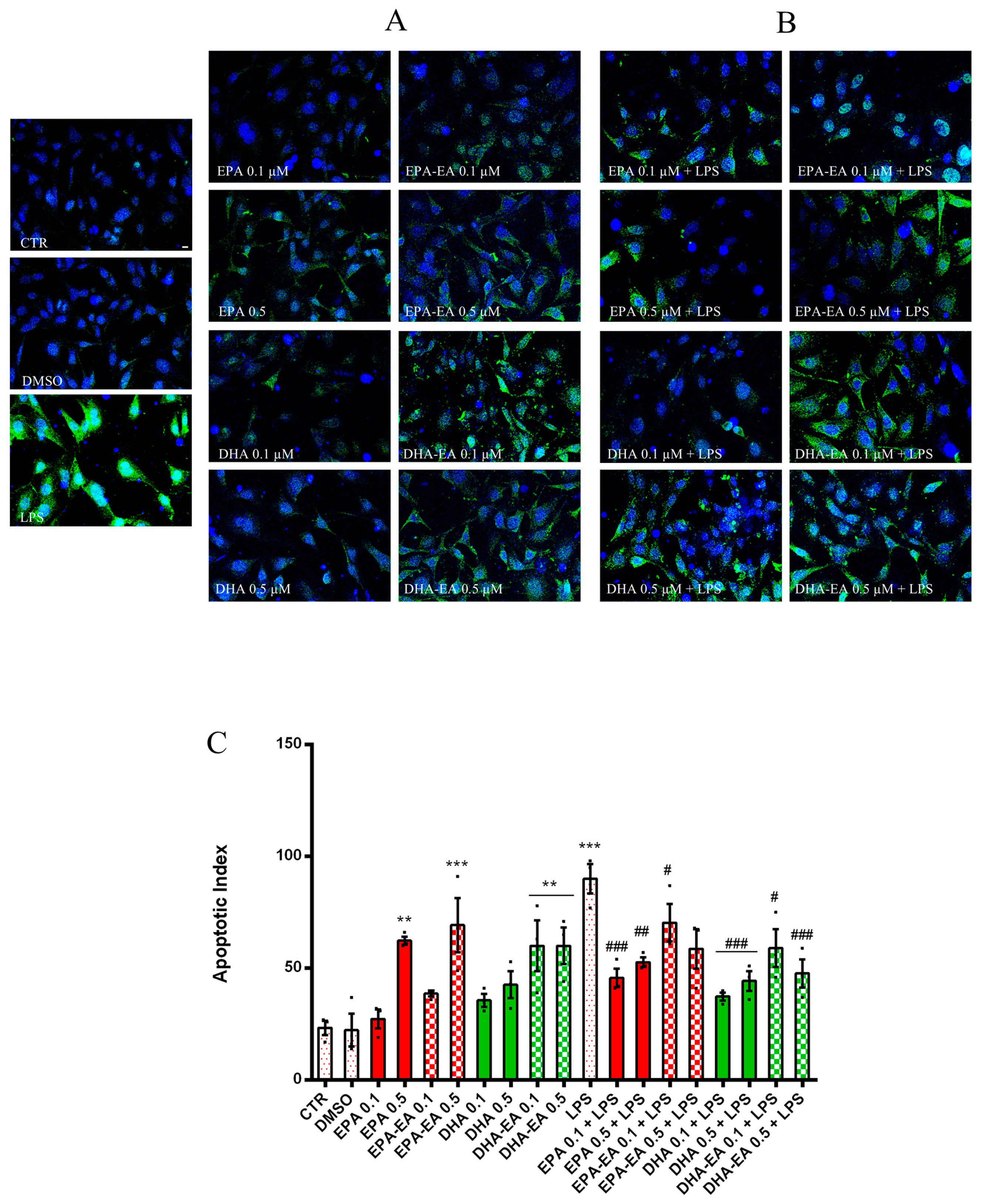 Molecules 29 04821 g004