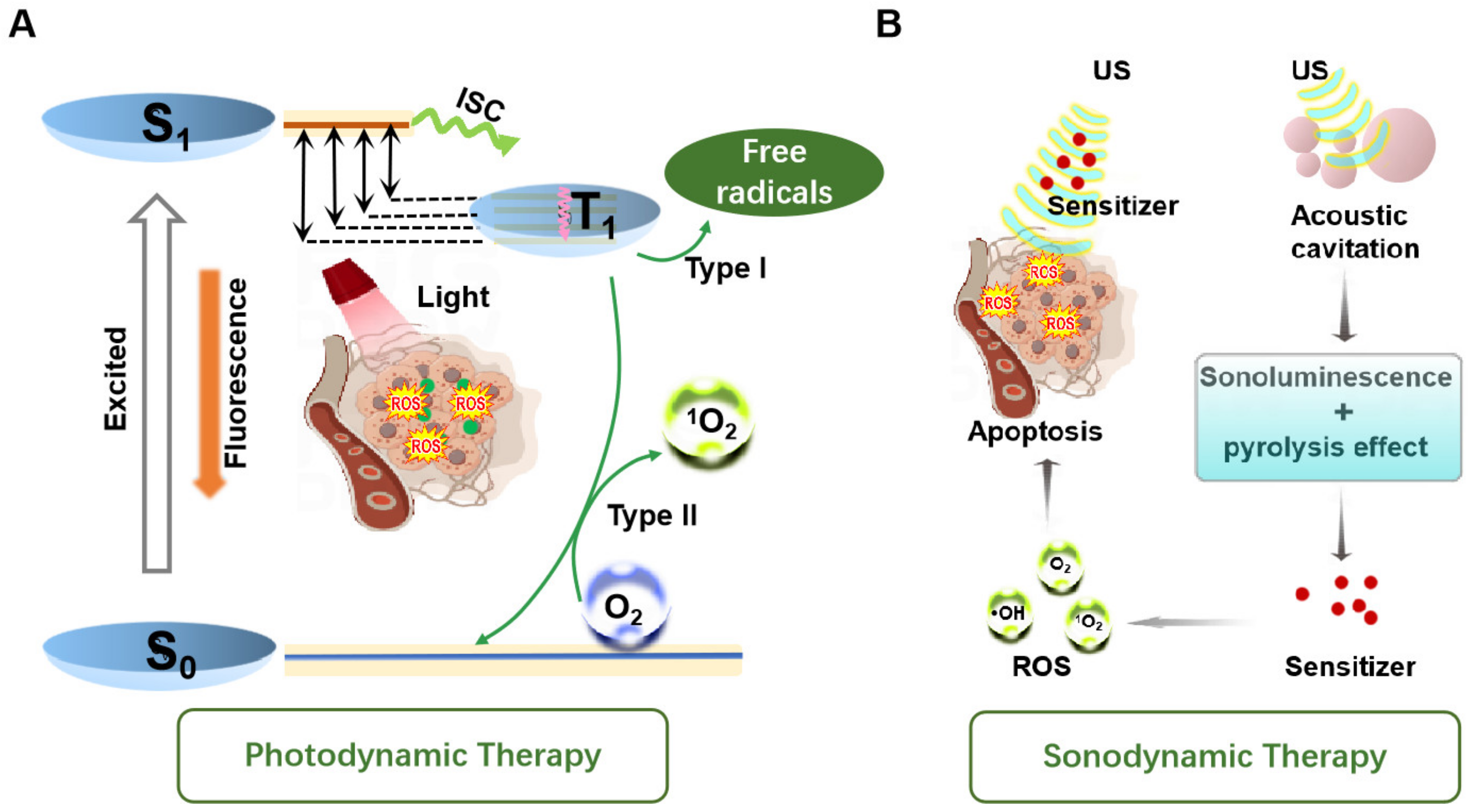 Molecules 29 04828 g002