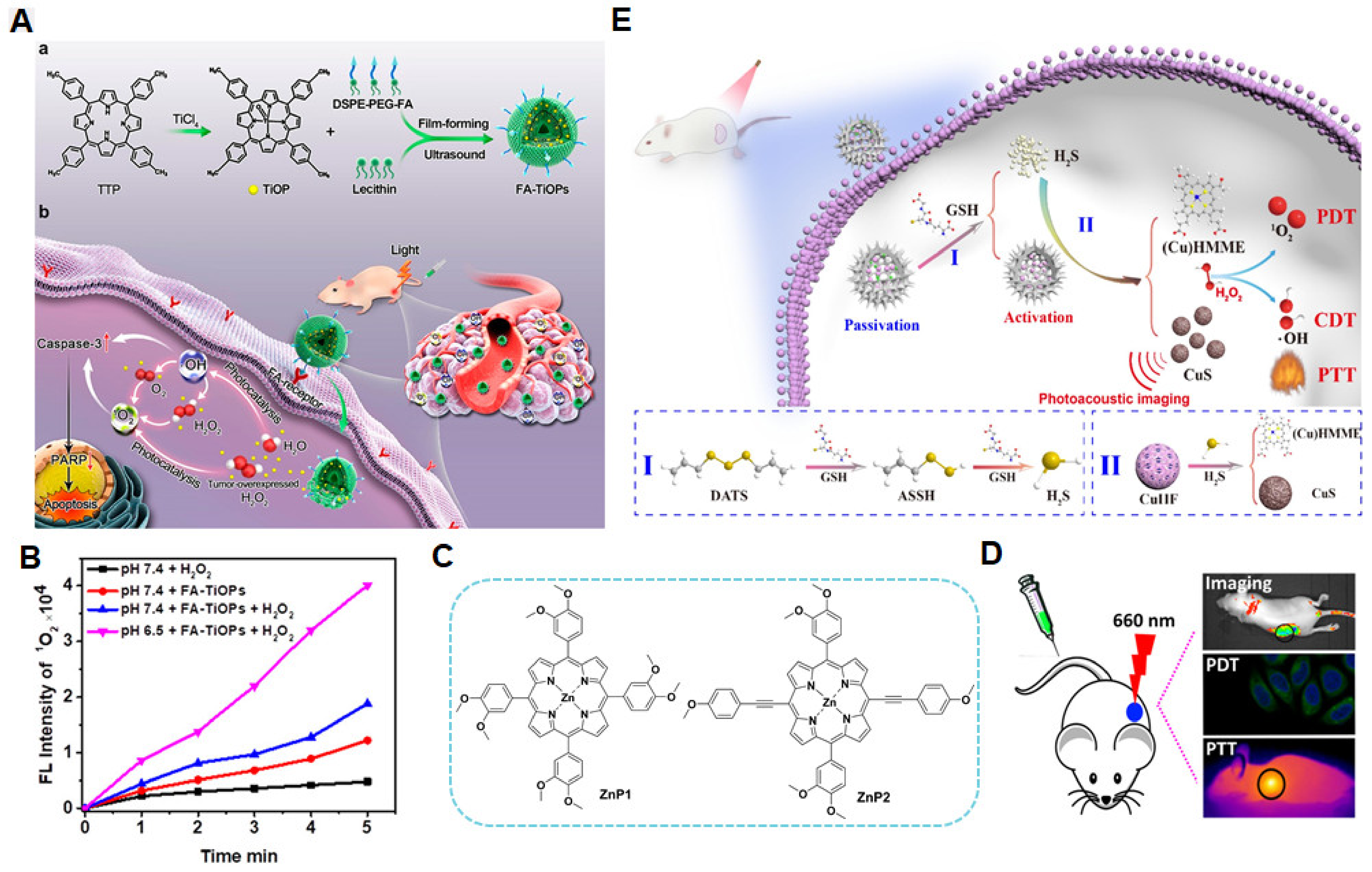 Molecules 29 04828 g004