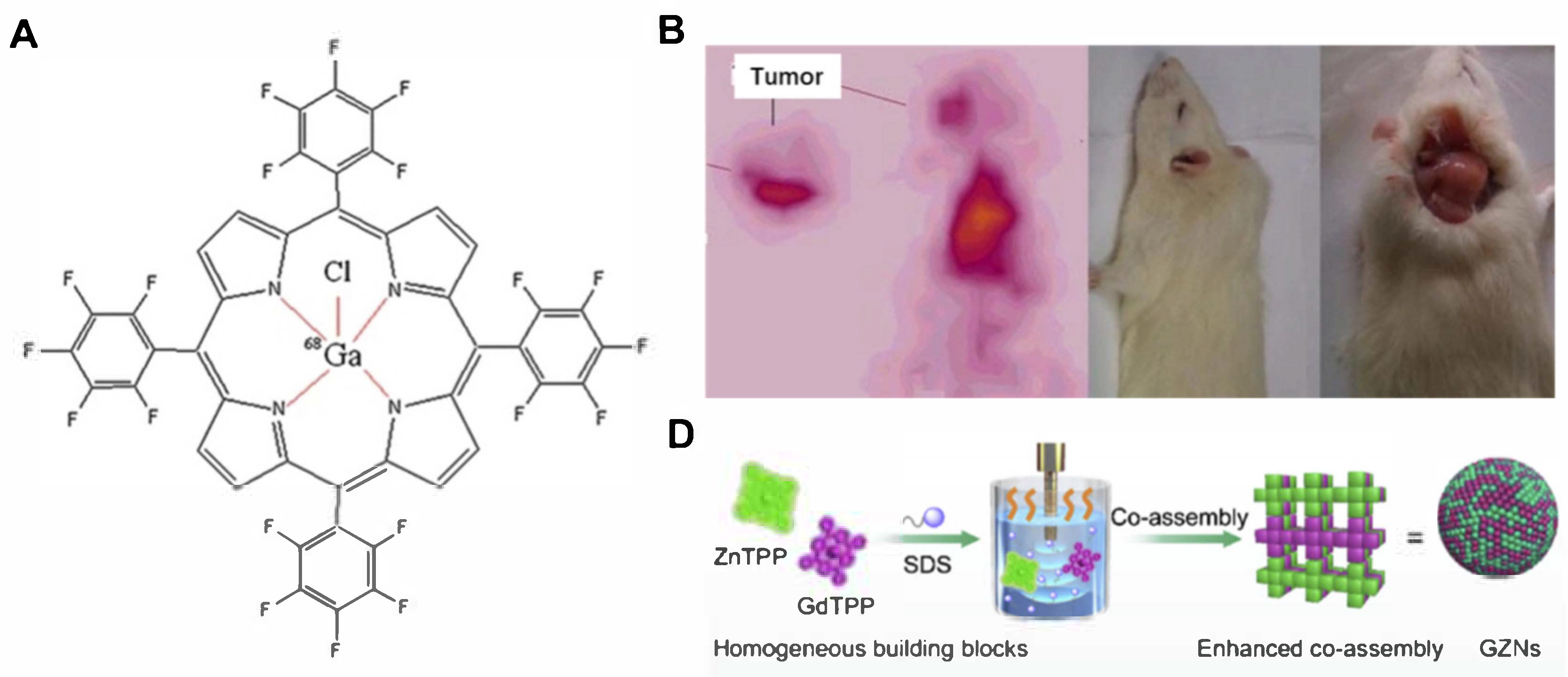 Molecules 29 04828 g005a