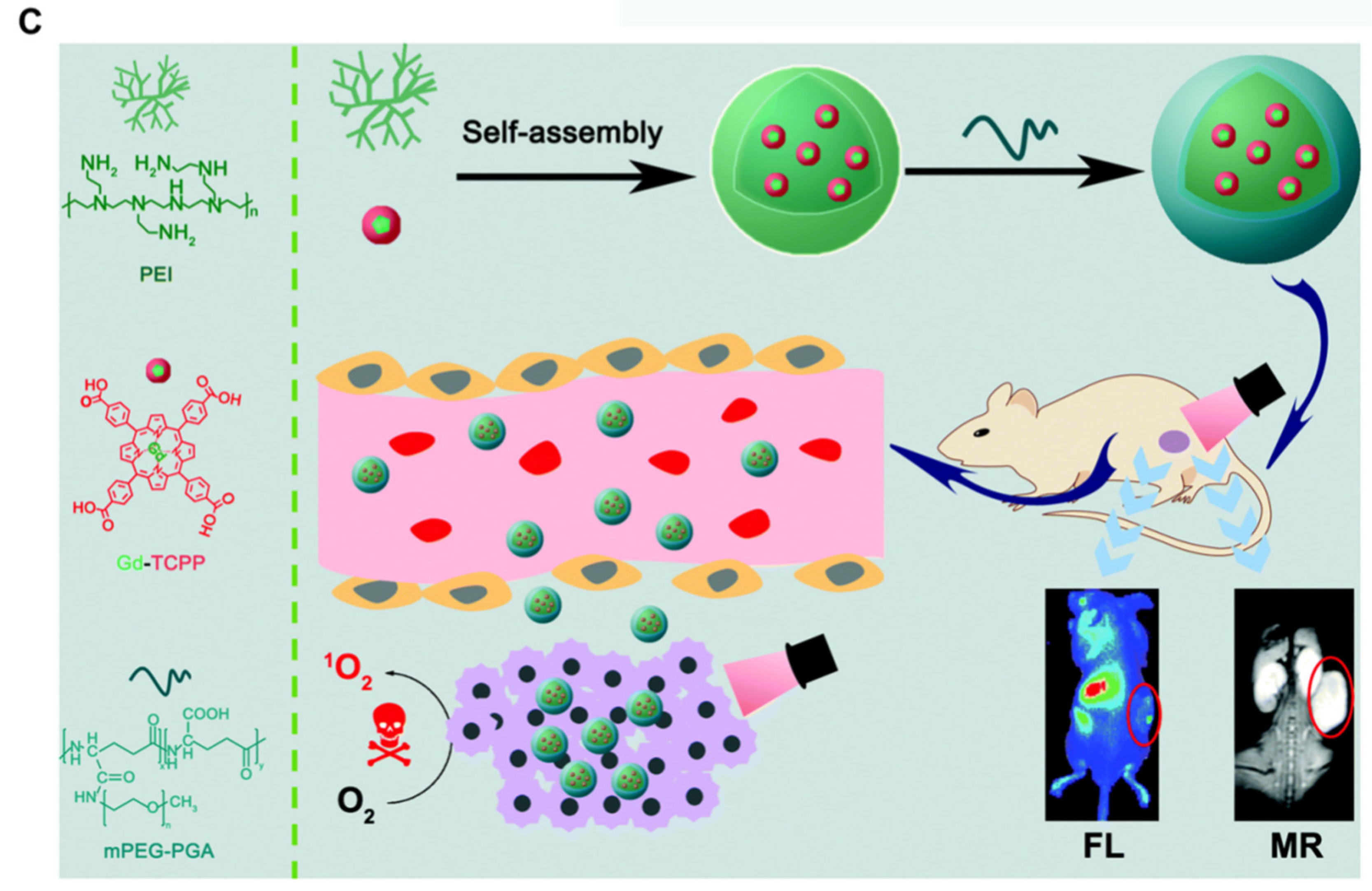 Molecules 29 04828 g005b