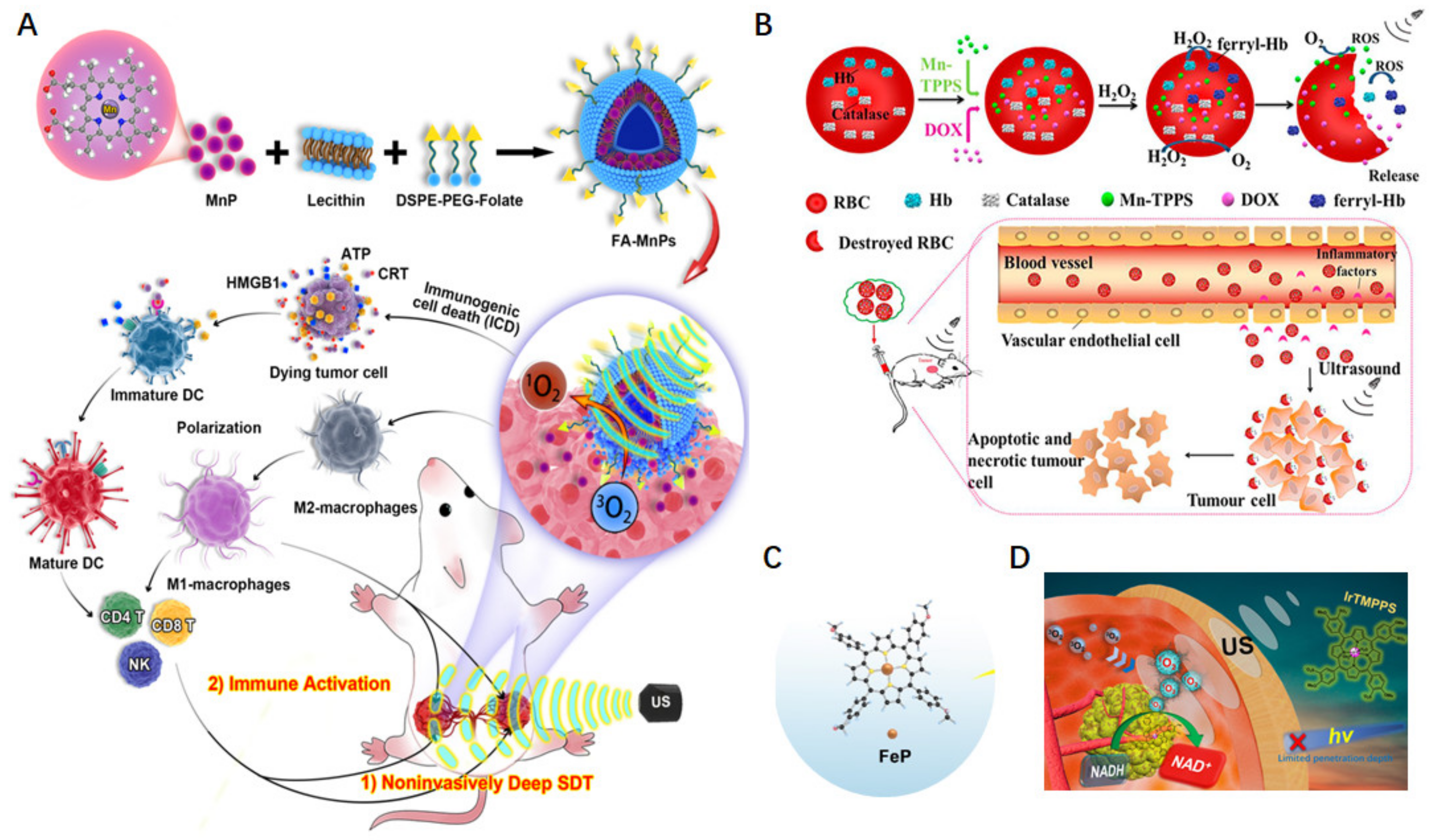 Molecules 29 04828 g007