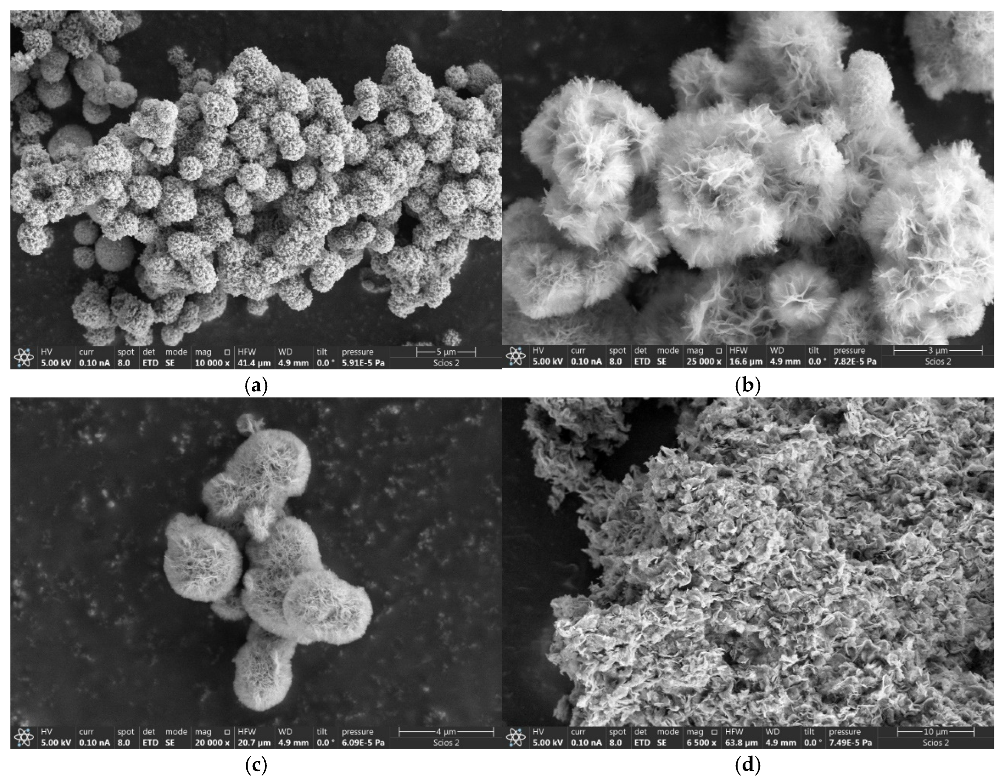 Molecules 29 04838 g003a Molecules 29 04838 g003a