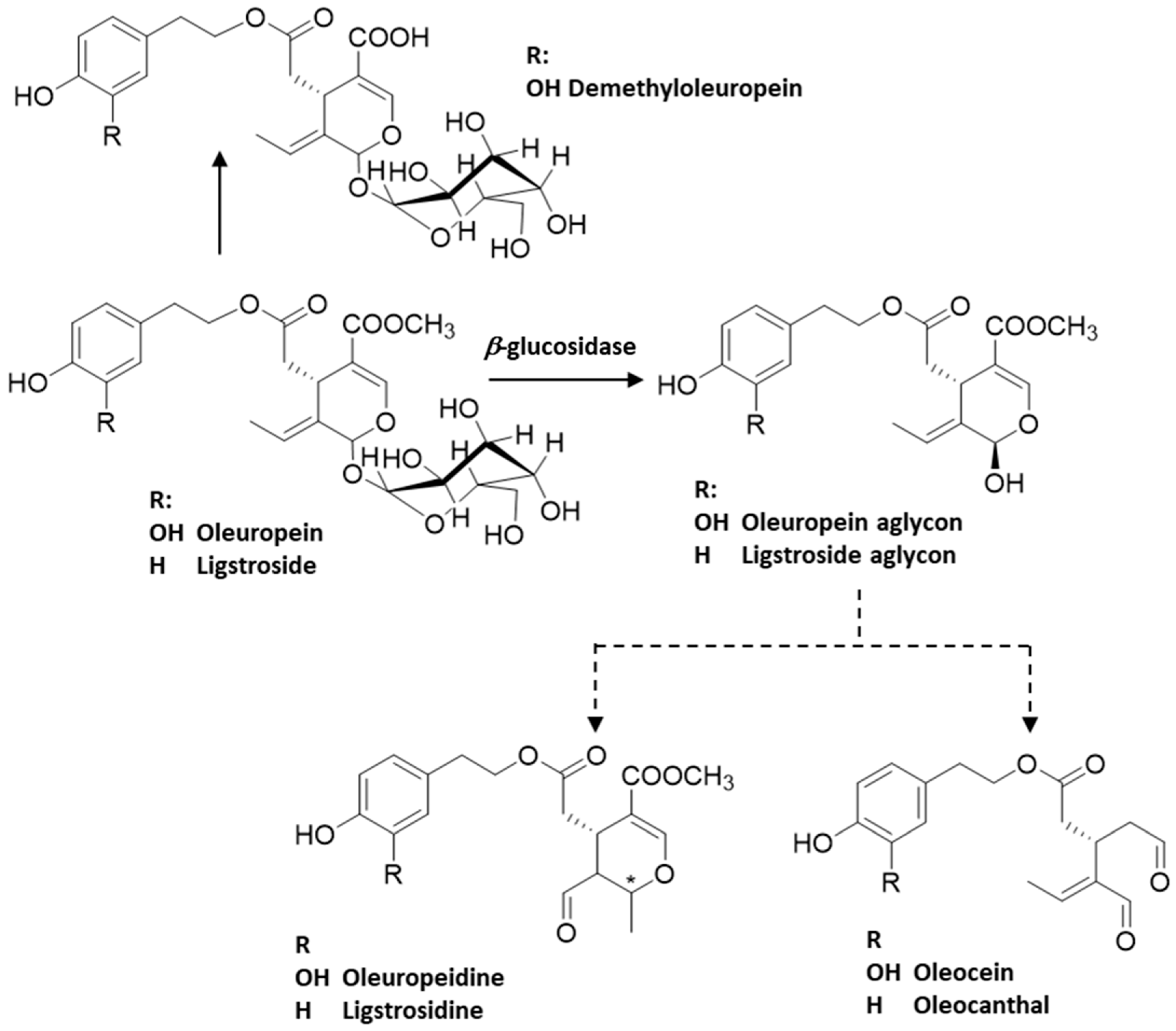 Molecules 29 04841 g002