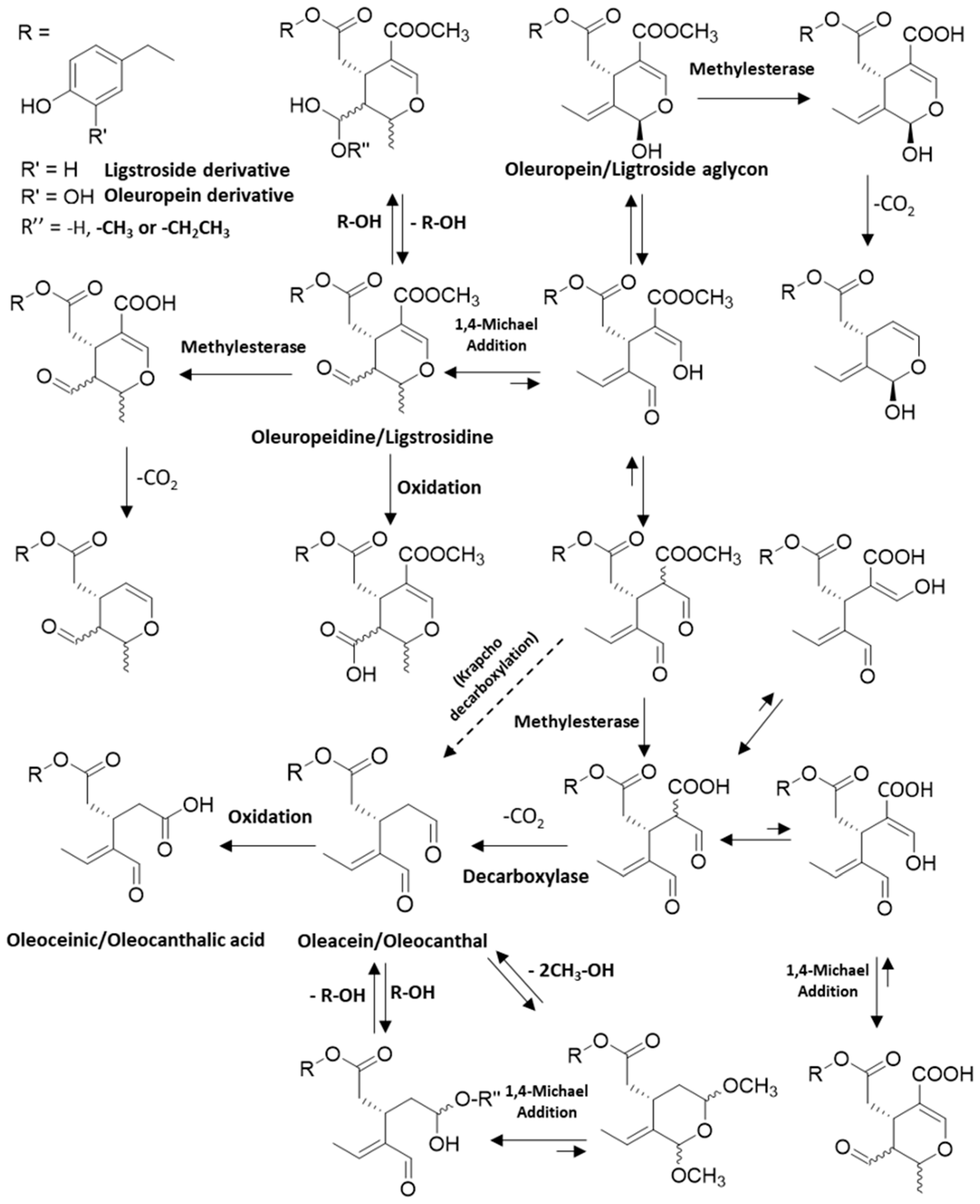 Molecules 29 04841 g003