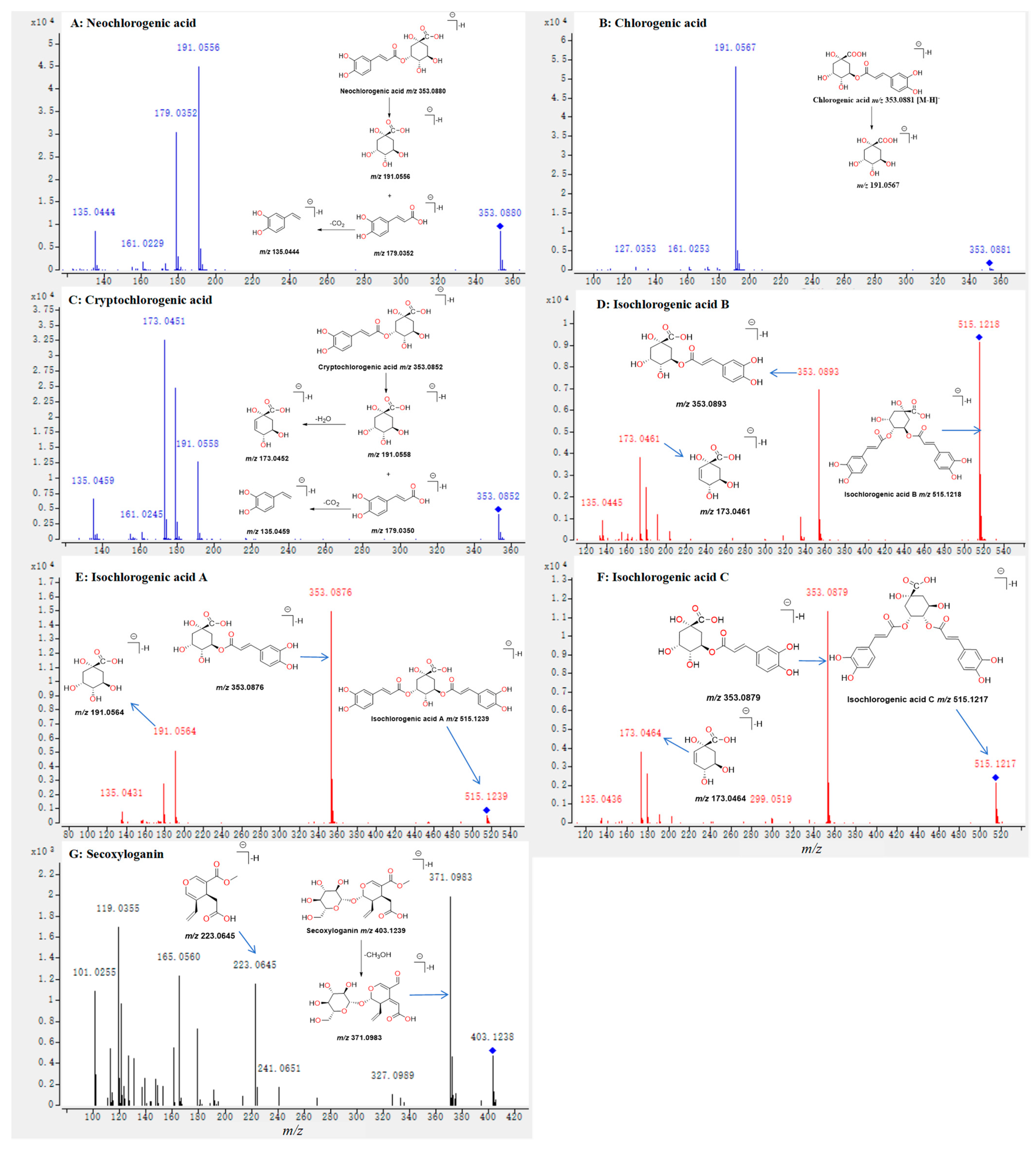 Molecules 29 04848 g004