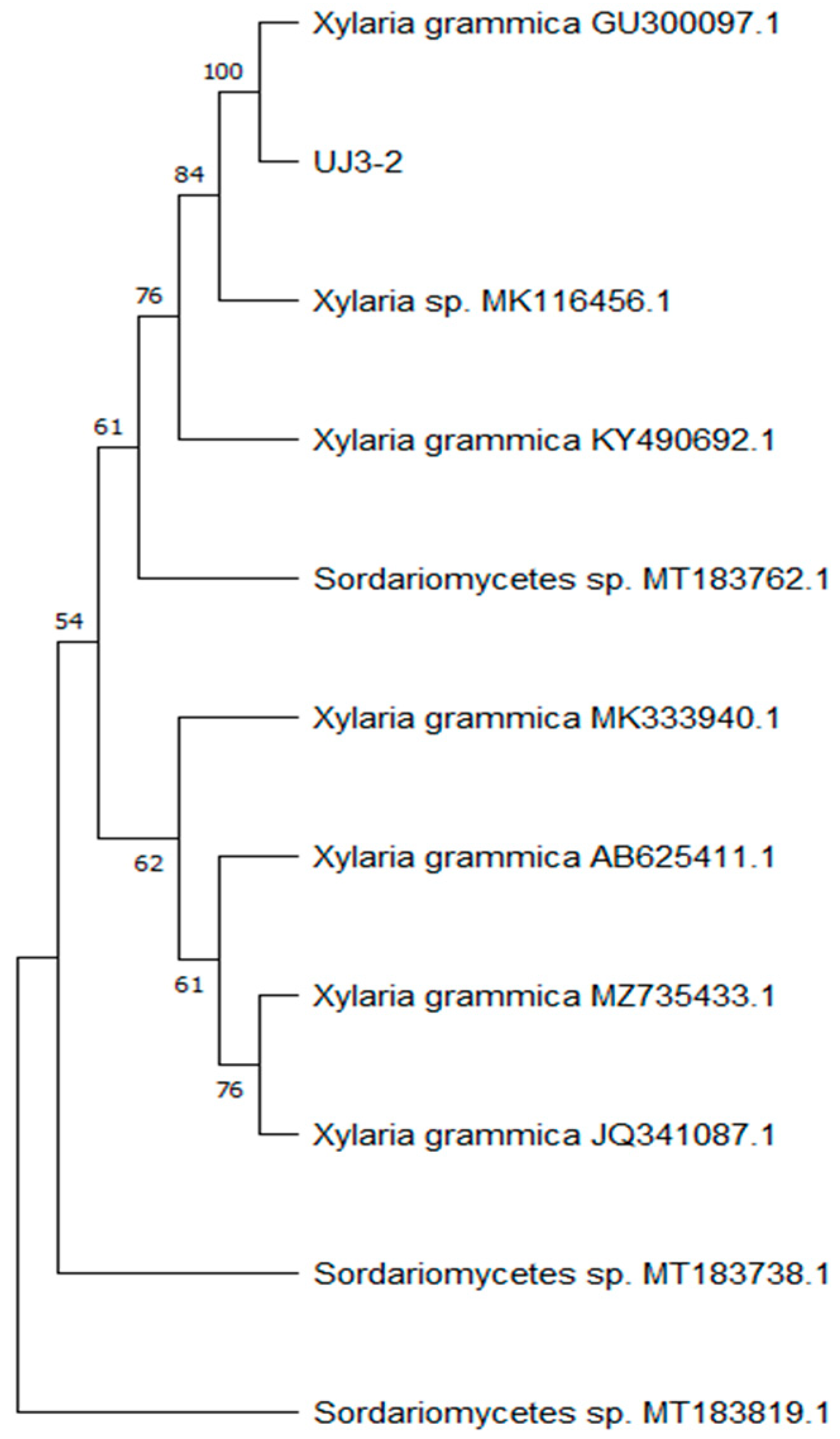 Molecules 29 04850 g001