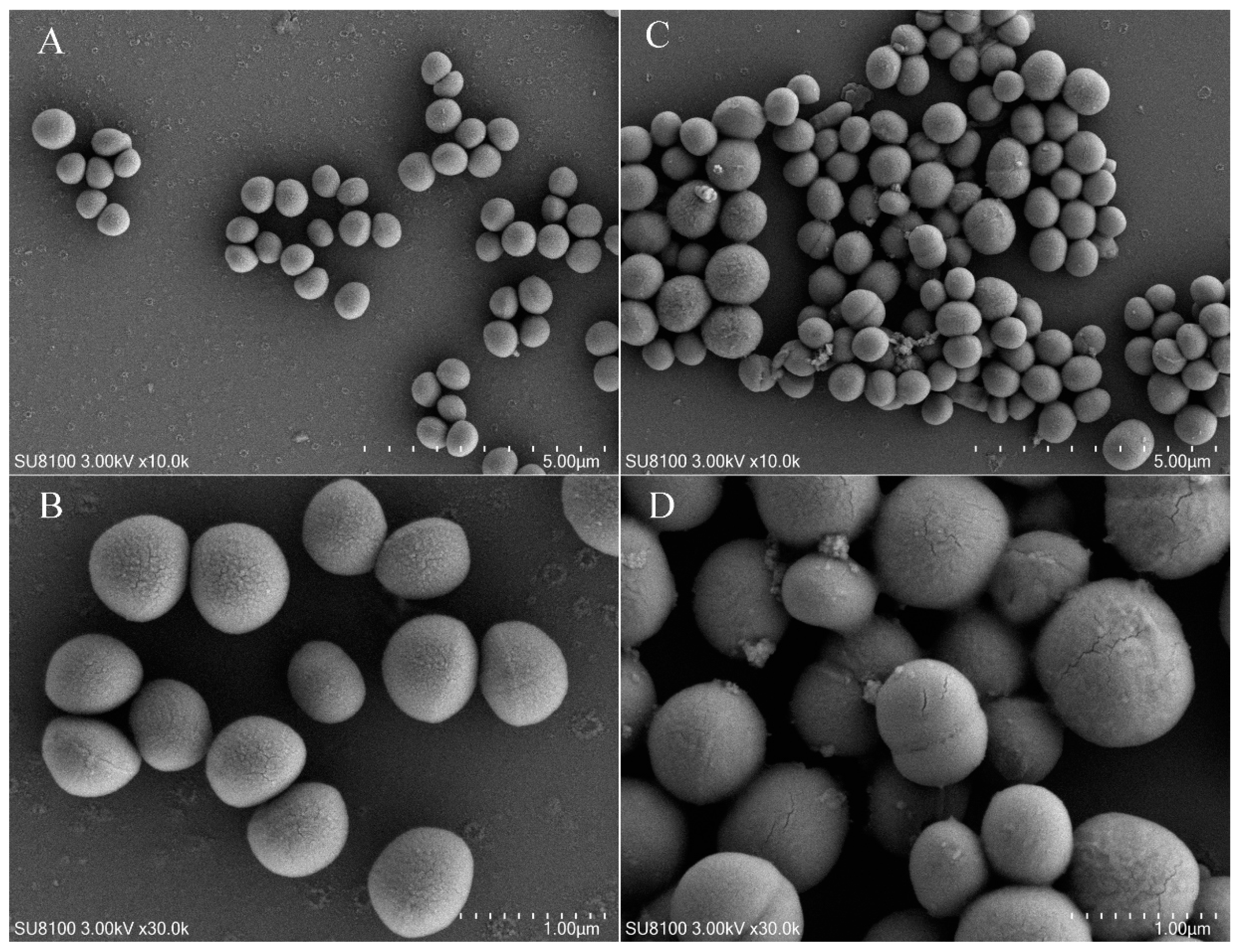 Molecules 29 04850 g007