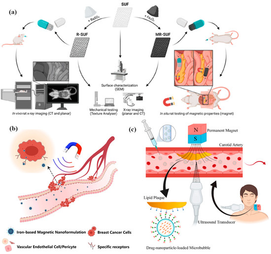 Molecules 29 04854 g007