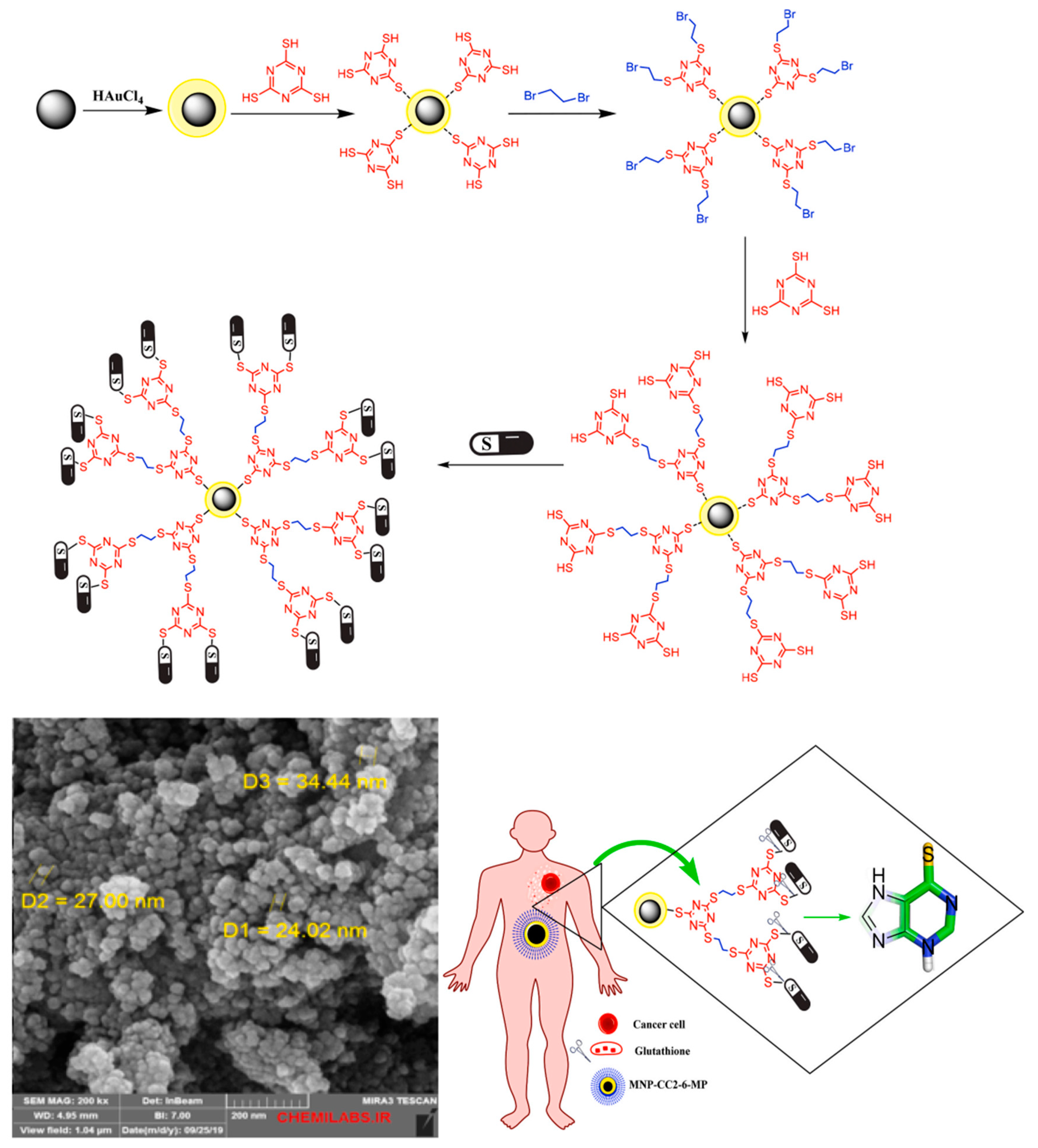 Molecules 29 04854 g008 Molecules 29 04854 g008