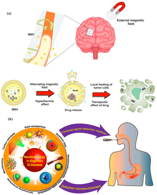 Molecules 29 04854 g009