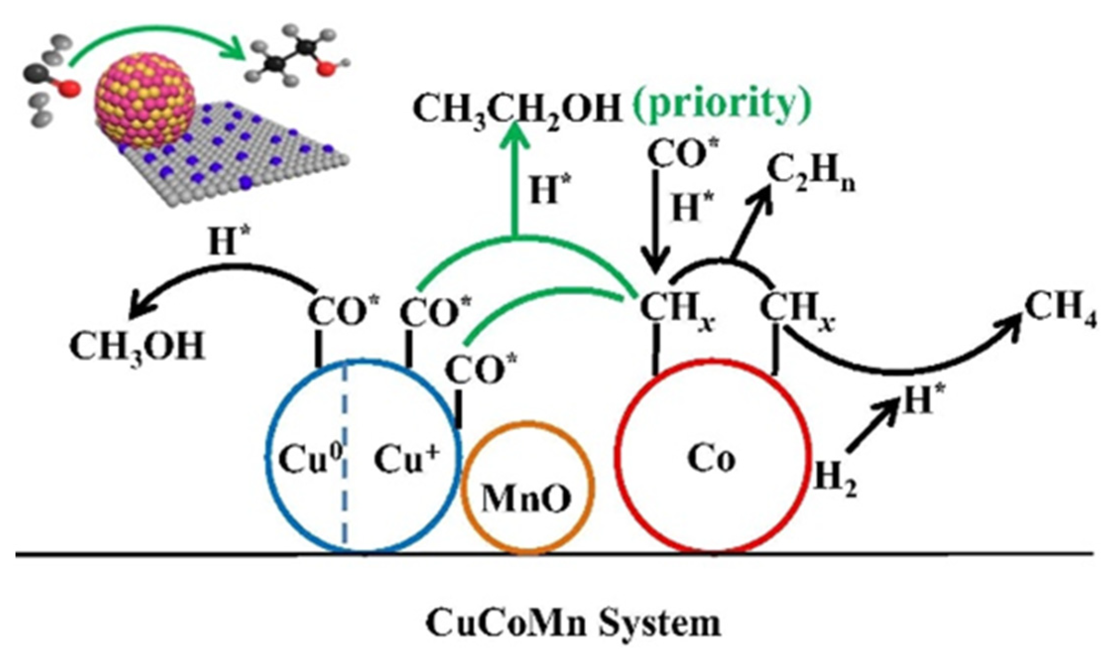 Molecules 29 04855 g002