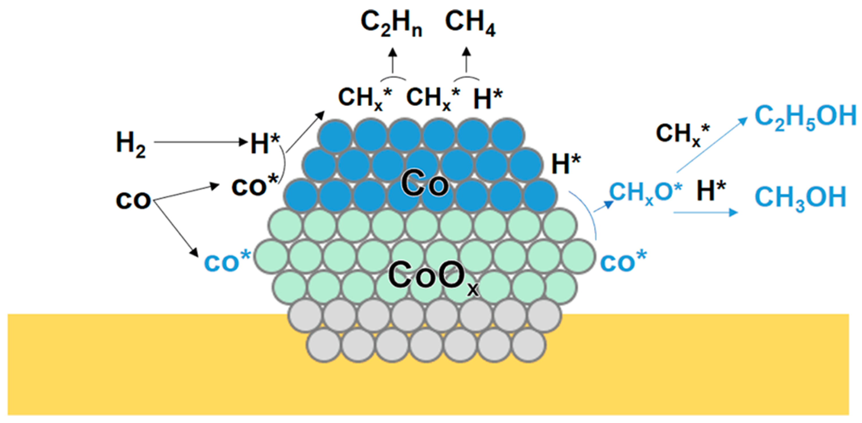 Molecules 29 04855 g003