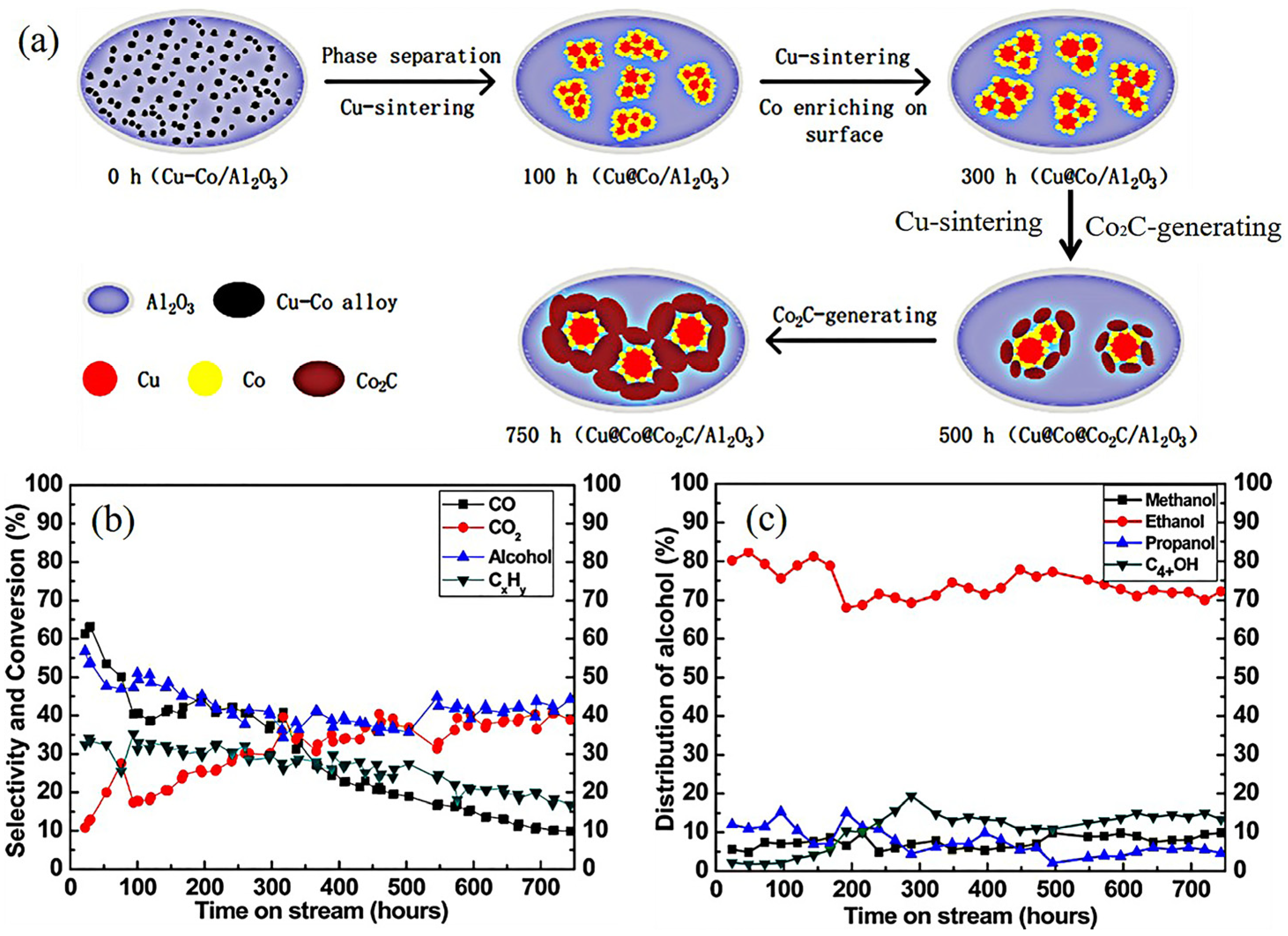 Molecules 29 04855 g004