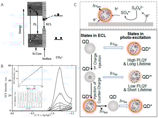 Molecules 29 04857 g001