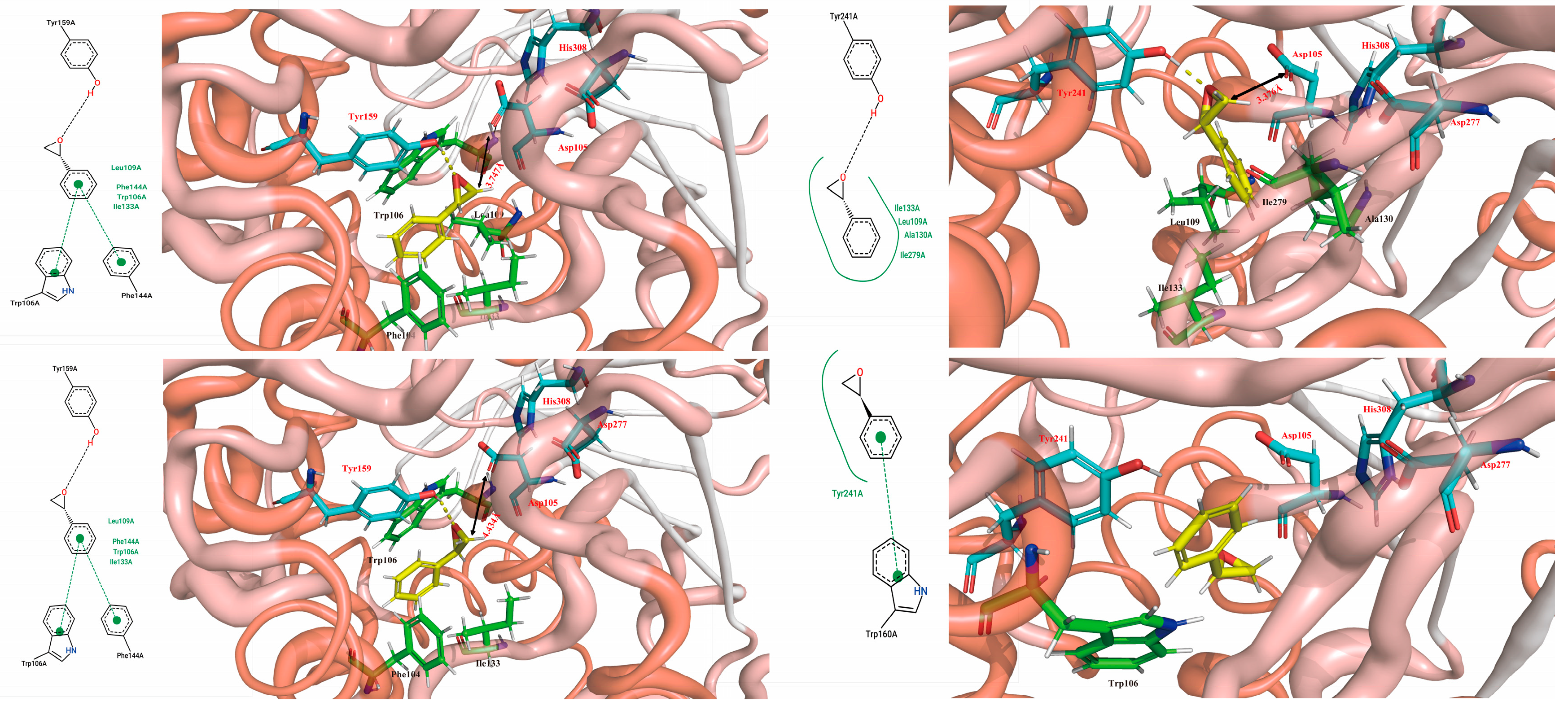 Molecules 29 04864 g007