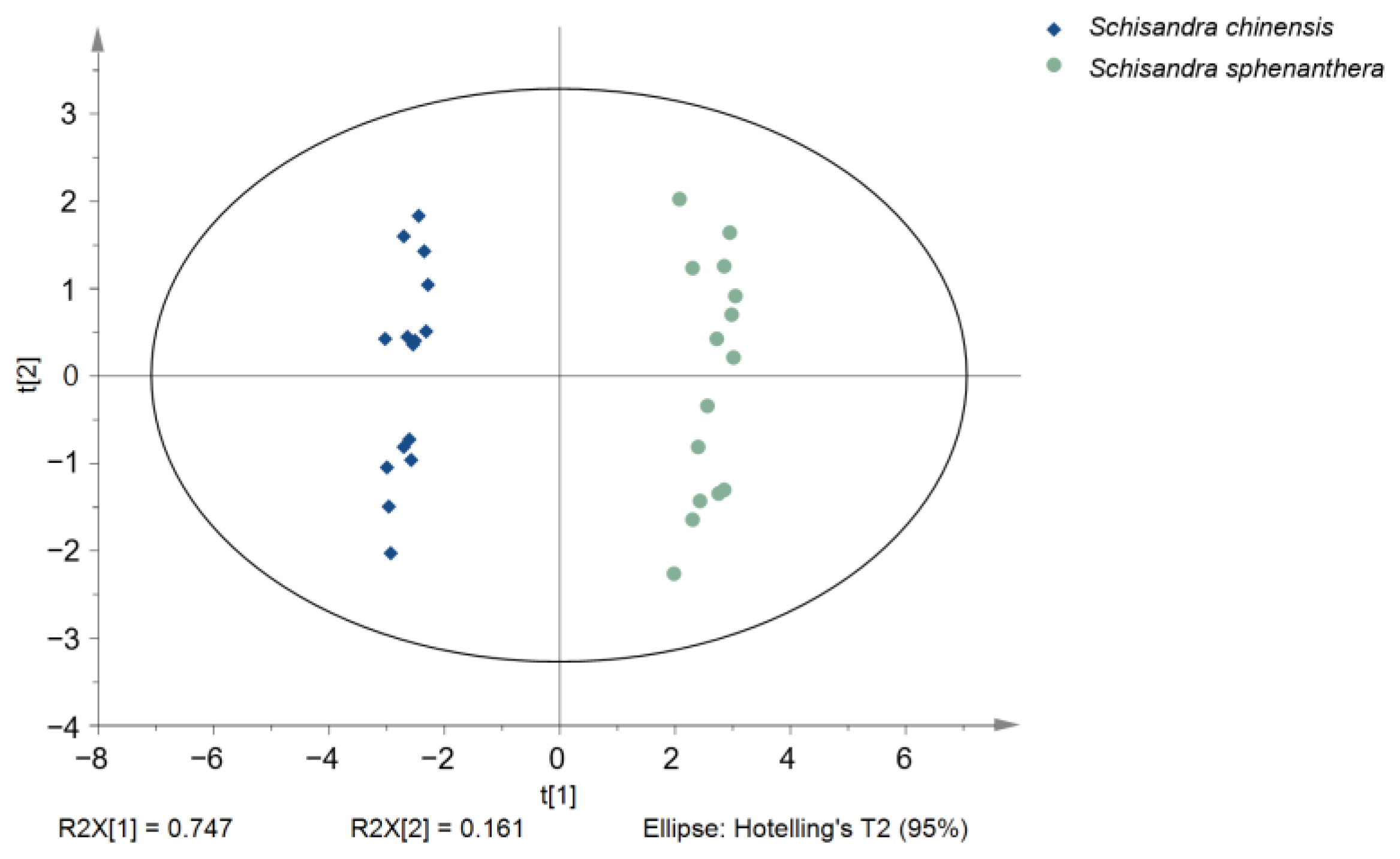 Molecules 29 04865 g001