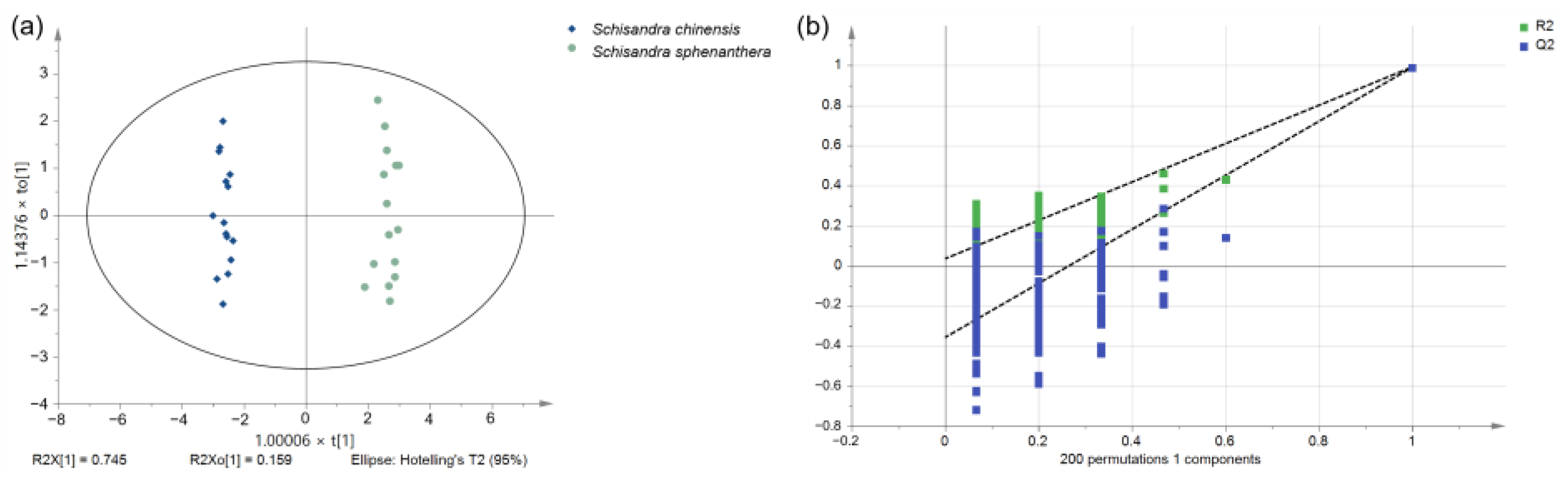 Molecules 29 04865 g002a