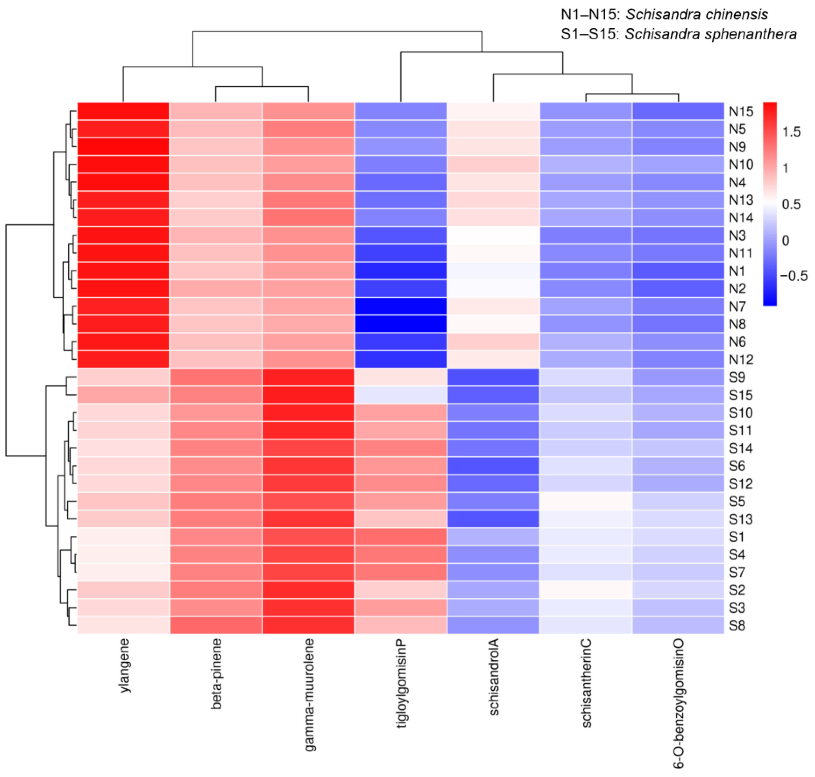 Molecules 29 04865 g003